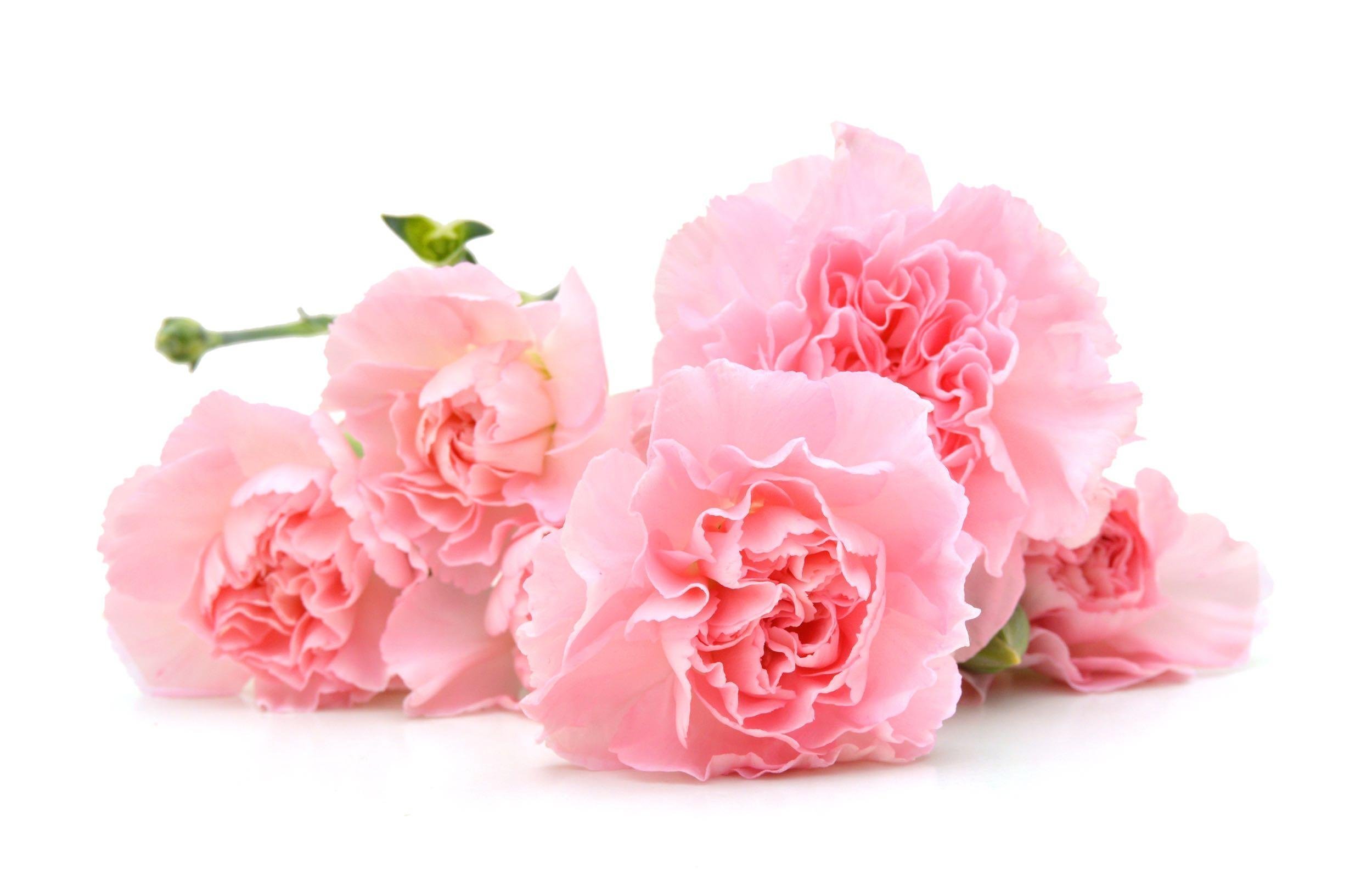 BE SMART ABOUT SENDING FLOWERS