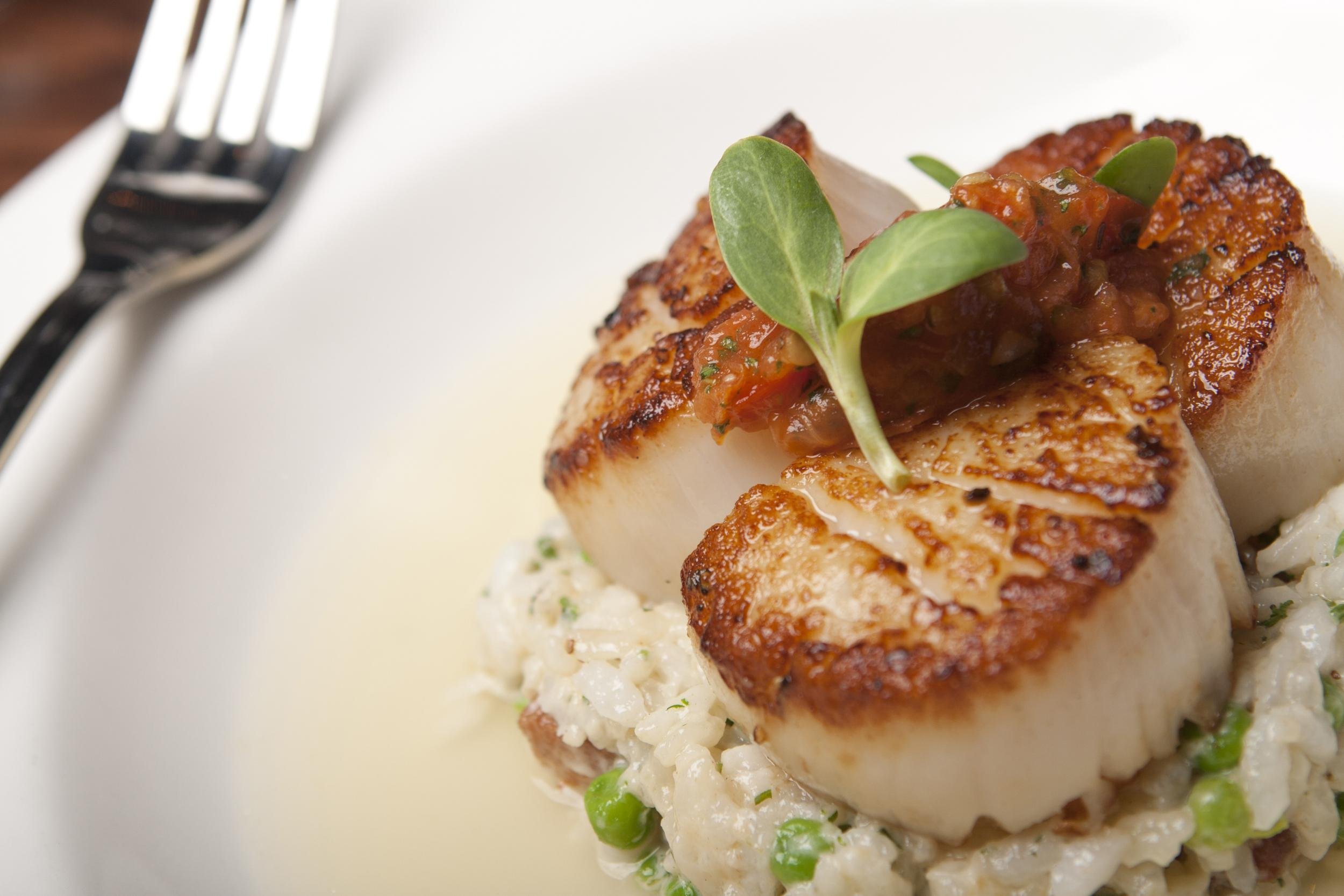 SEARED SCALLOPS