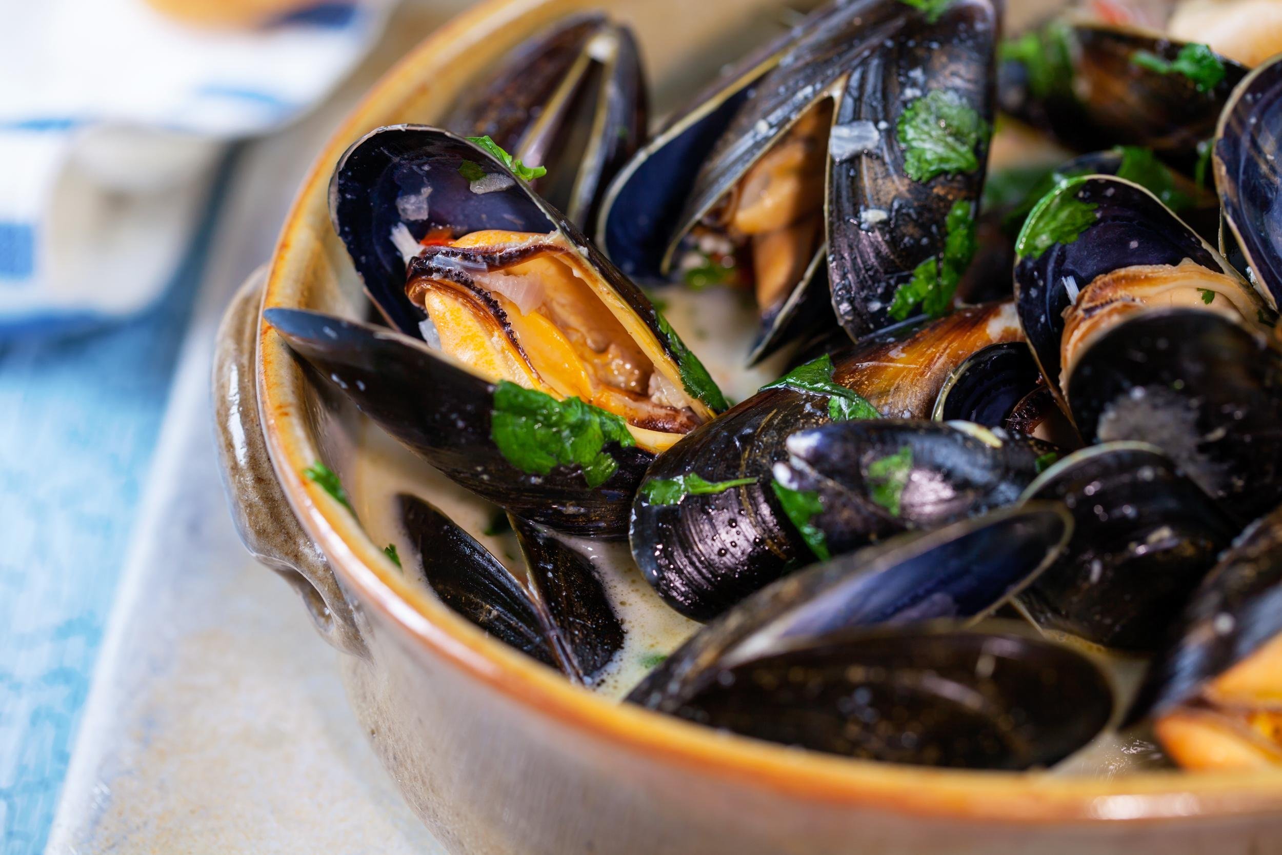 STEAMED MUSSELS