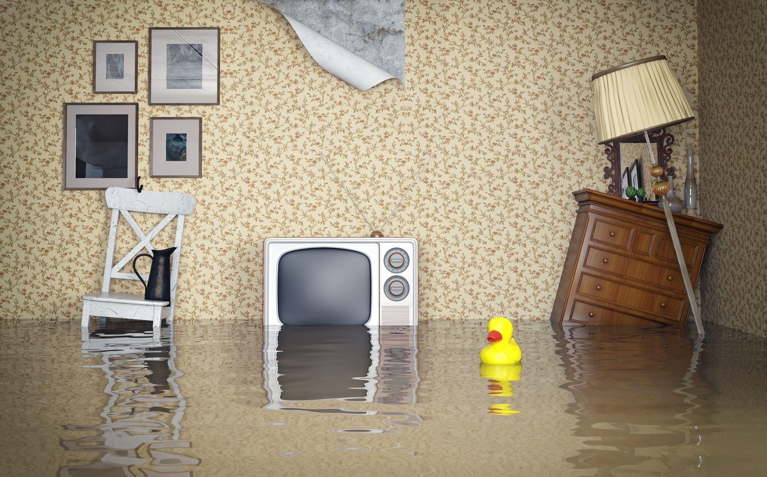 FINANCIAL ACCOMPLISHMENT: BUY RENTER'S INSURANCE