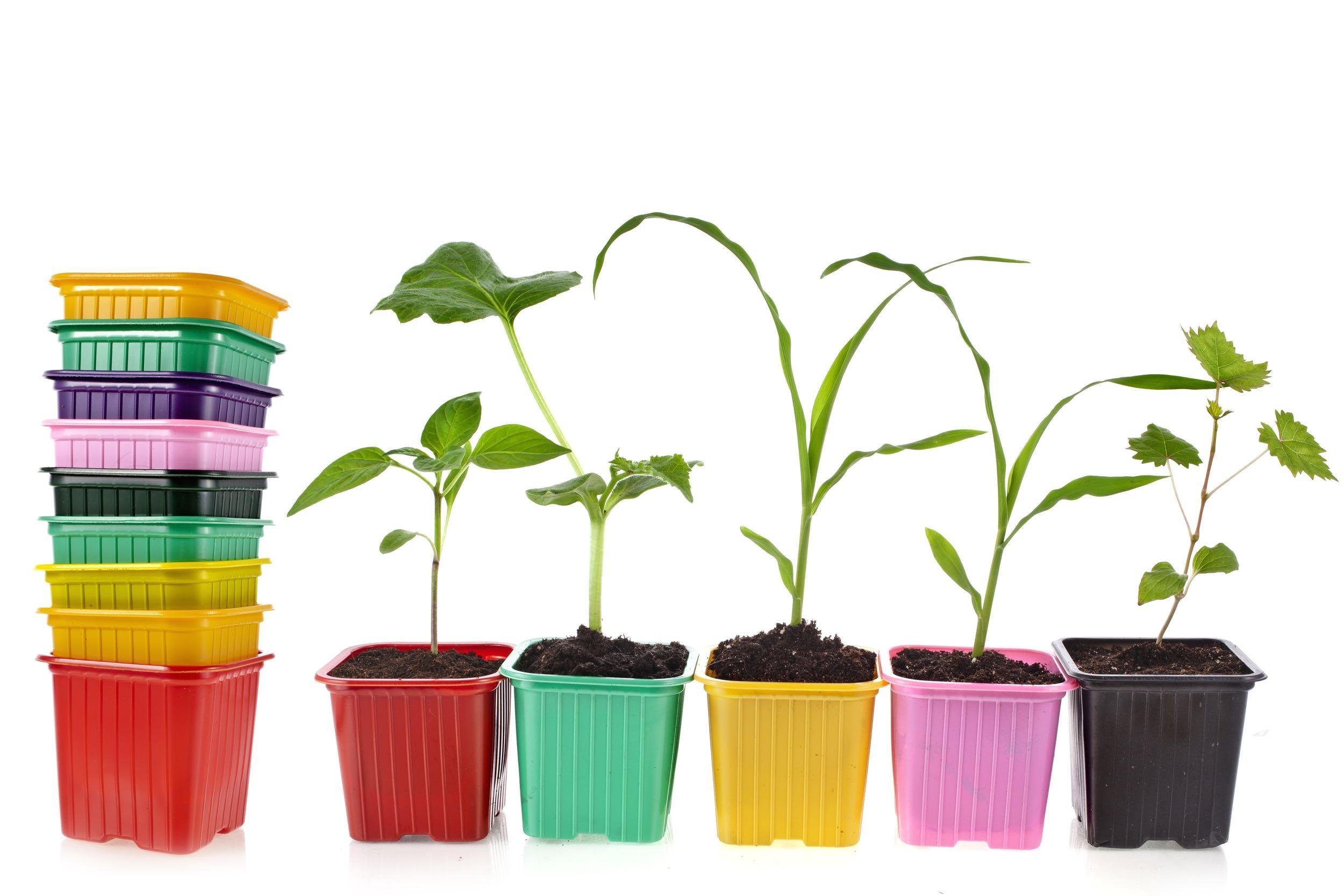 PLANT CONTAINERS
