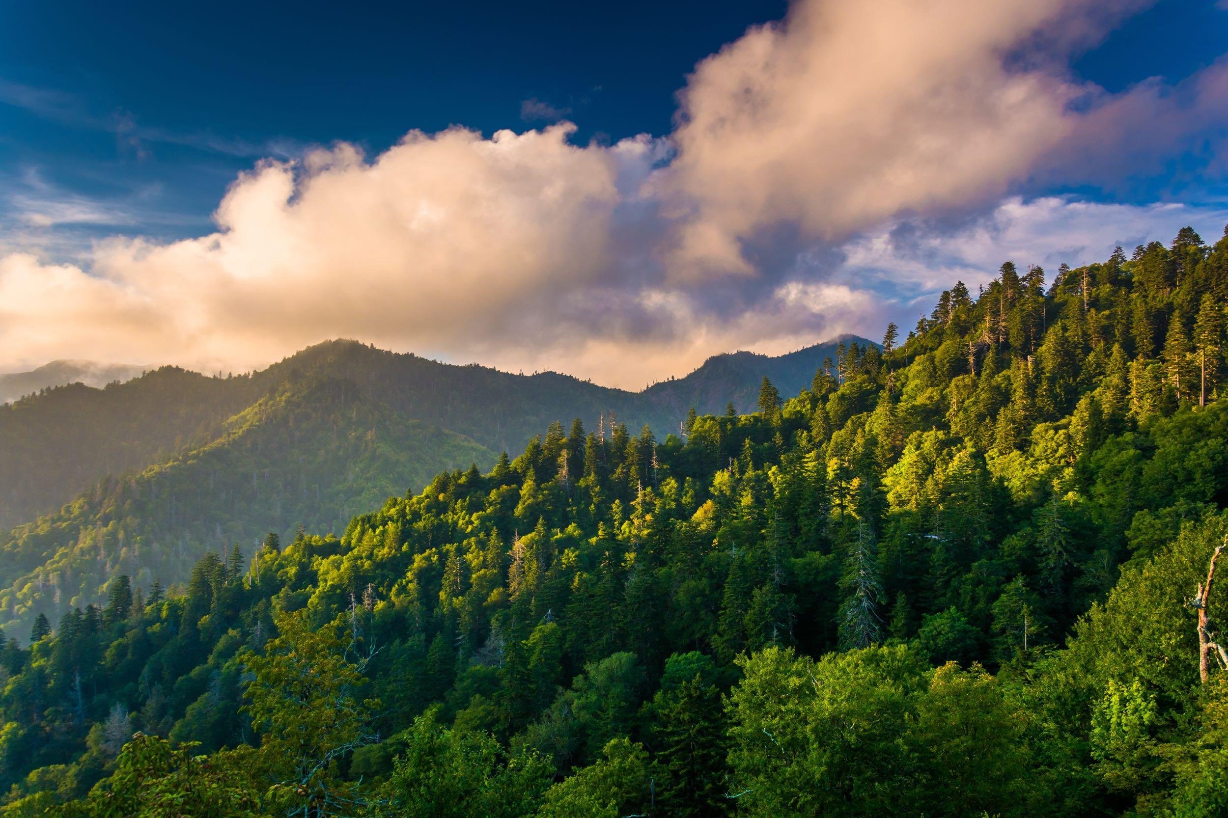 MOUNT CAMMERER, GREAT SMOKY MOUNTAINS NATIONAL PARK, NORTH CAROLINA AND TENNESSEE