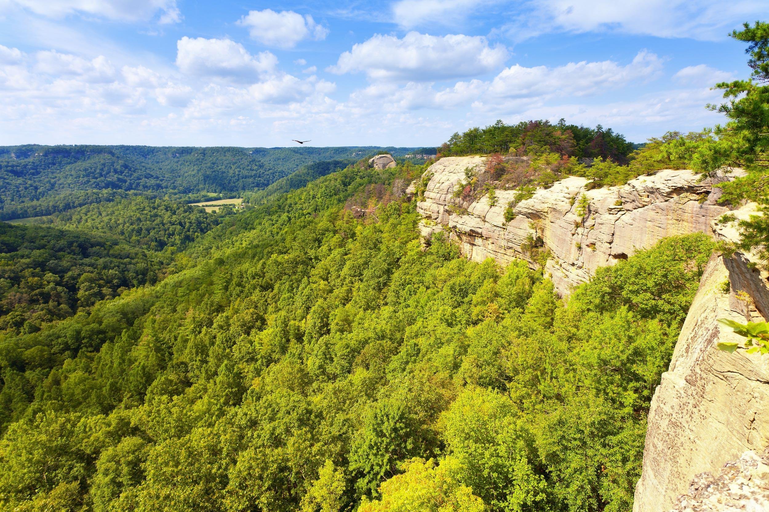 AUXIER RIDGE LOOP, RED RIVER GORGE, KENTUCKY