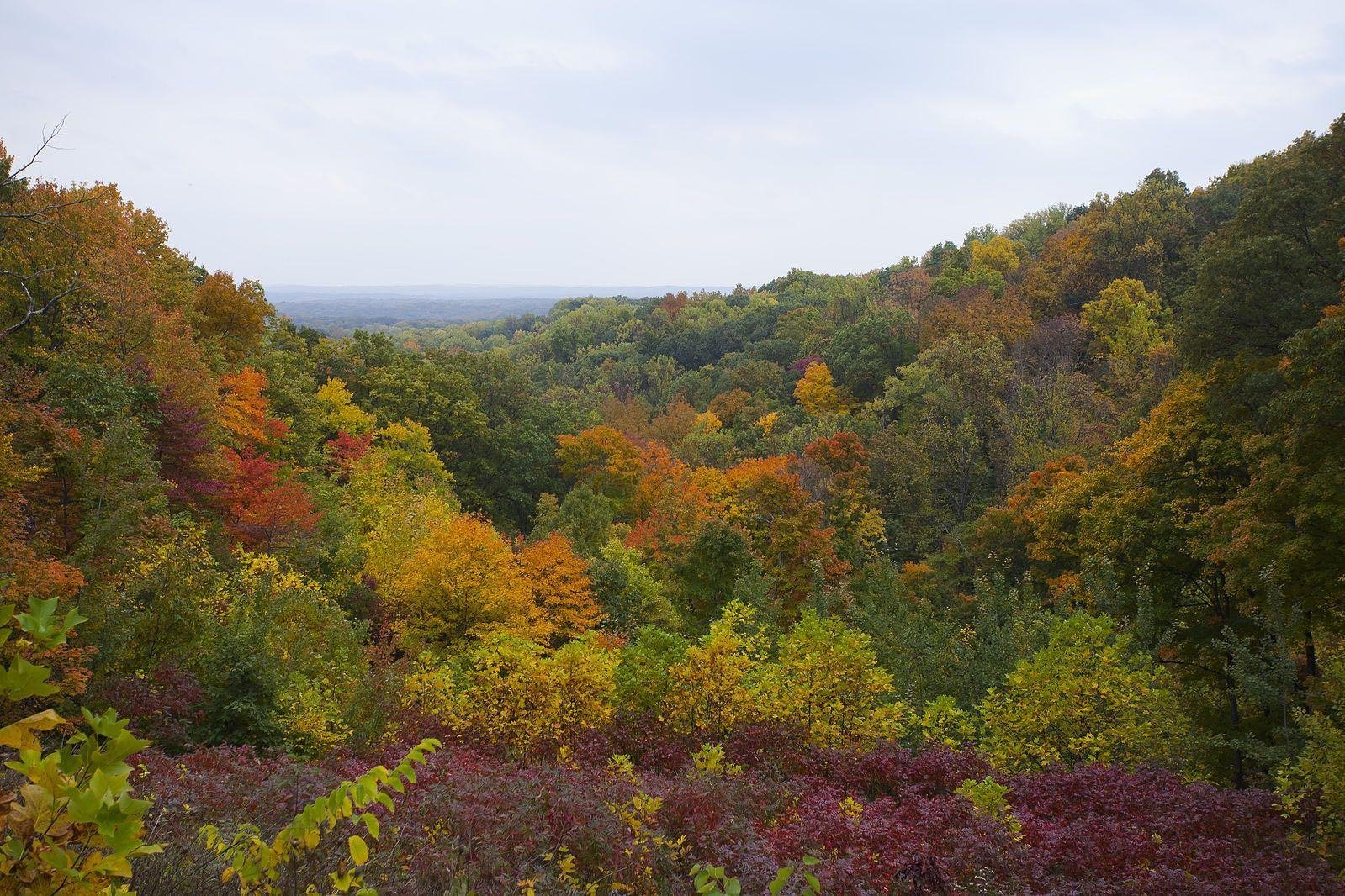 INDIANA: $10-$18/NIGHT