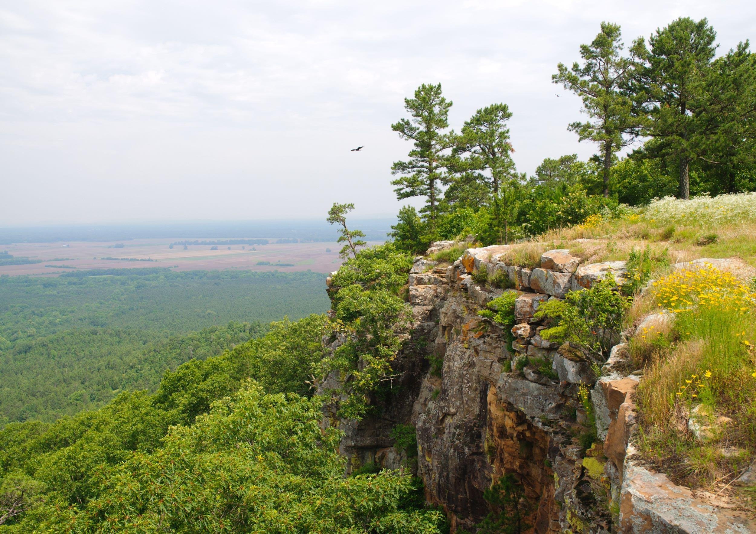 ARKANSAS: $20/NIGHT