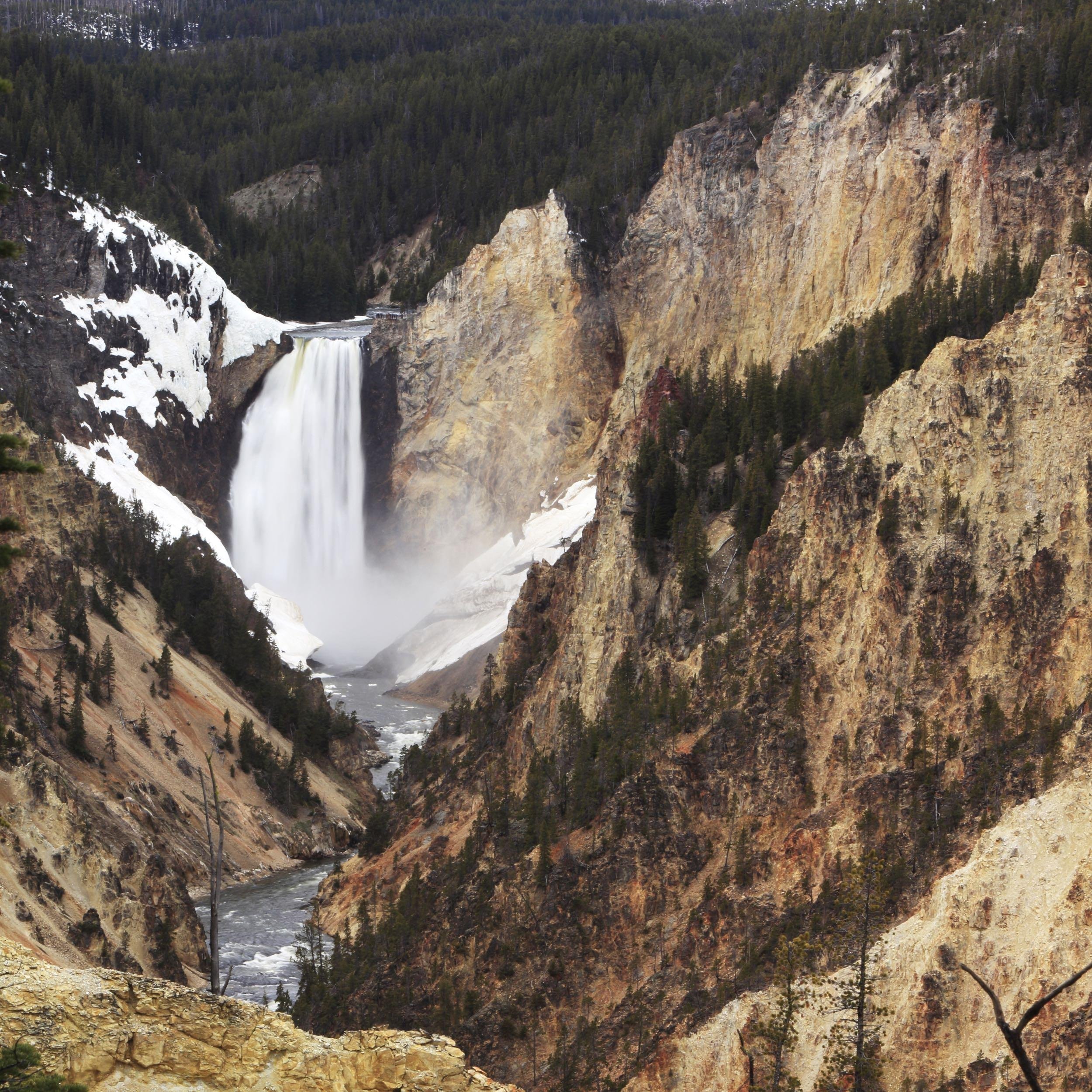 MONTANA: $16/NIGHT