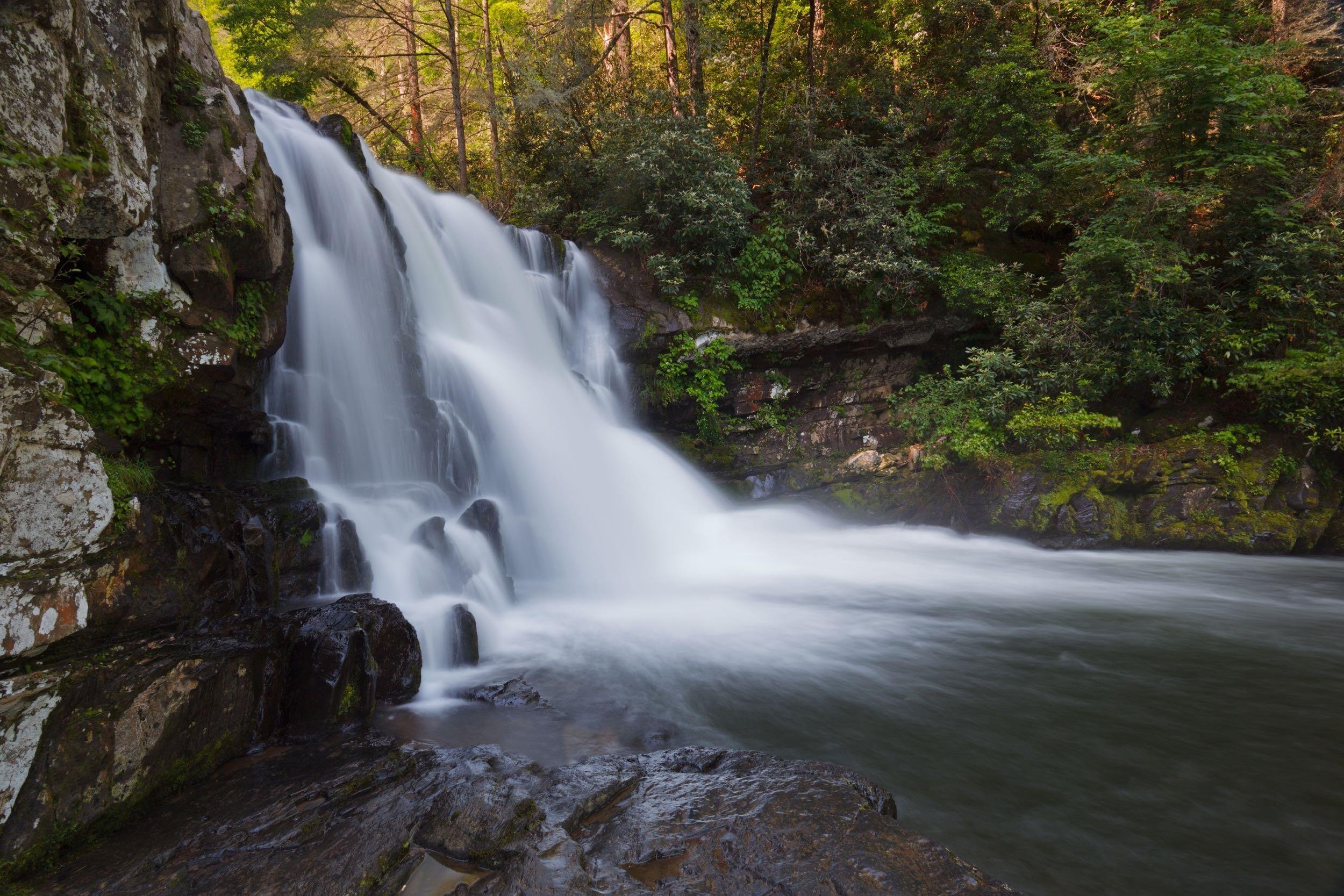TENNESSEE: $20/NIGHT