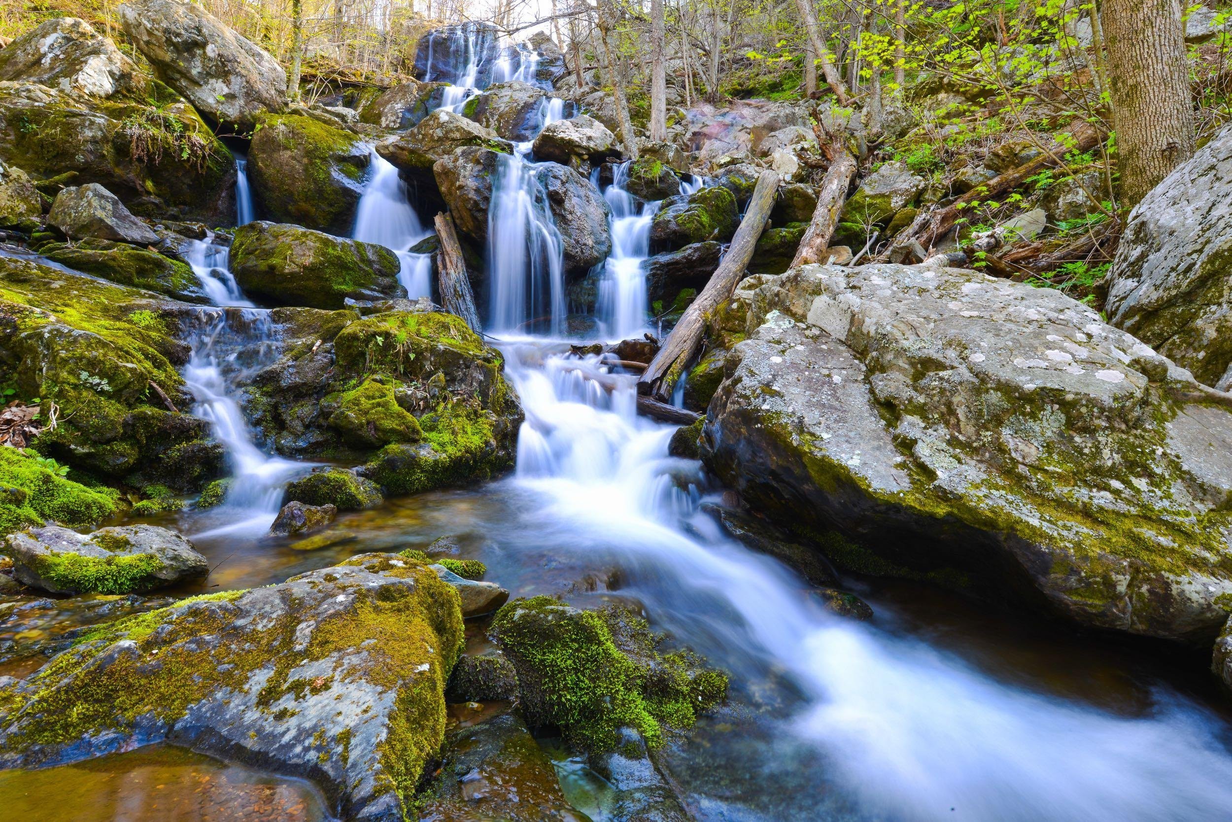 VIRGINIA: $17-$20/NIGHT