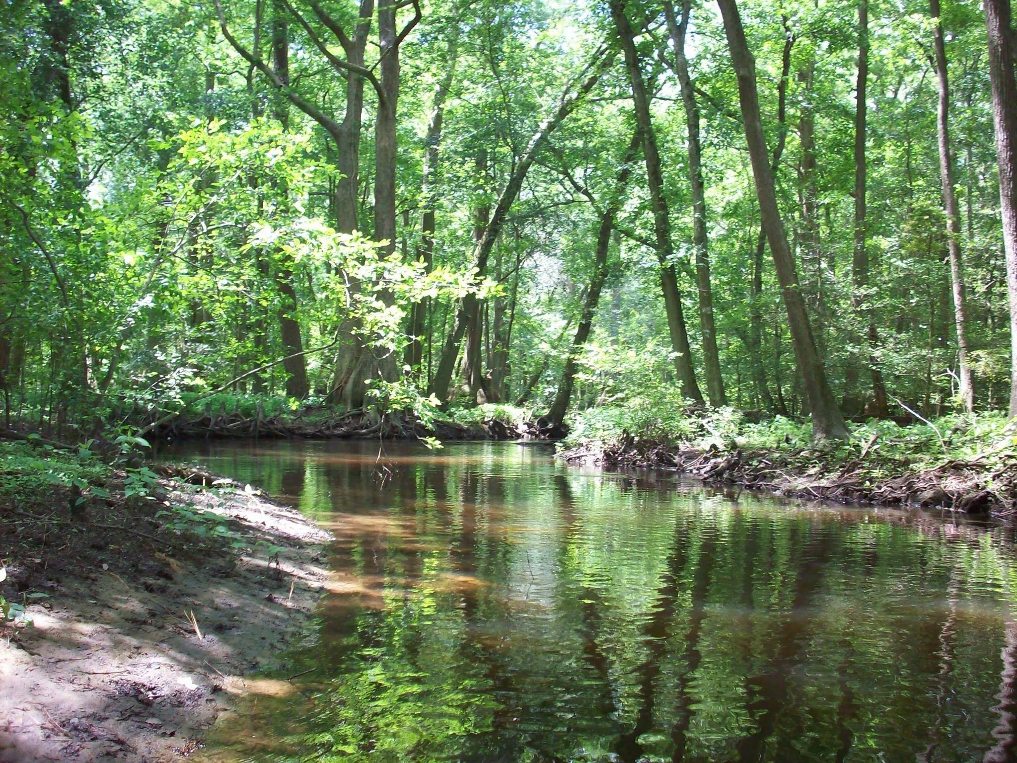 DELAWARE: $15-$20/NIGHT