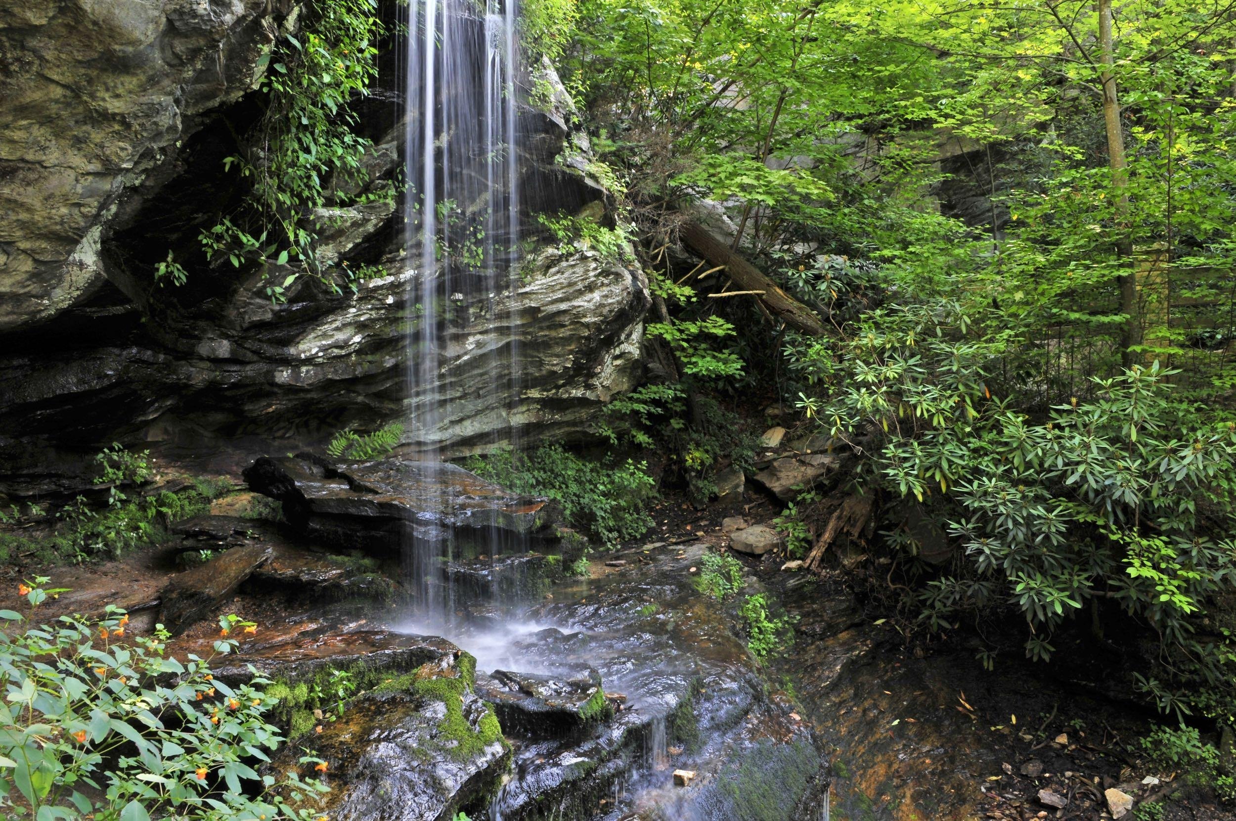 NORTH CAROLINA: $13-$20/NIGHT