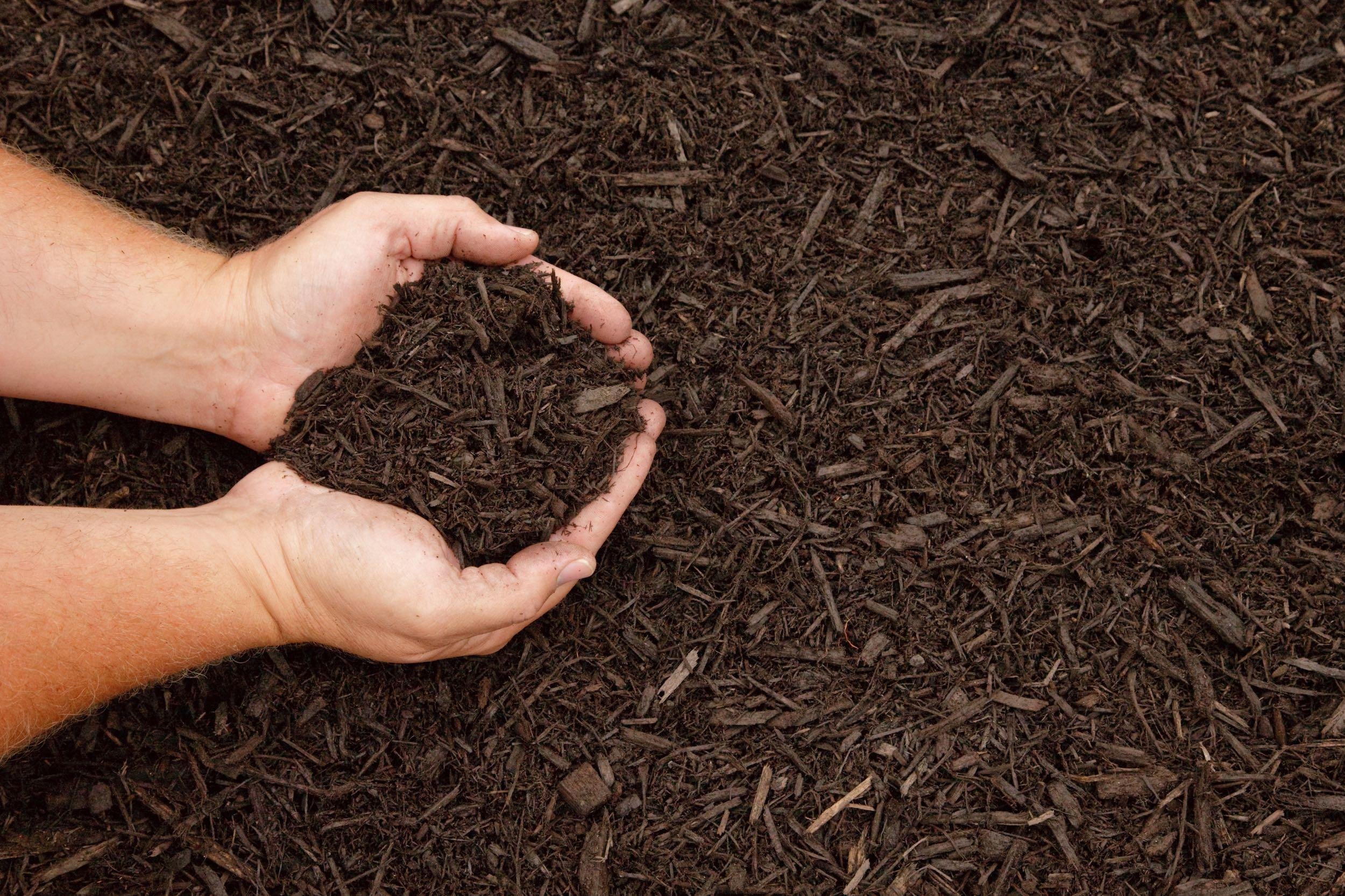 LAY ON THE MULCH