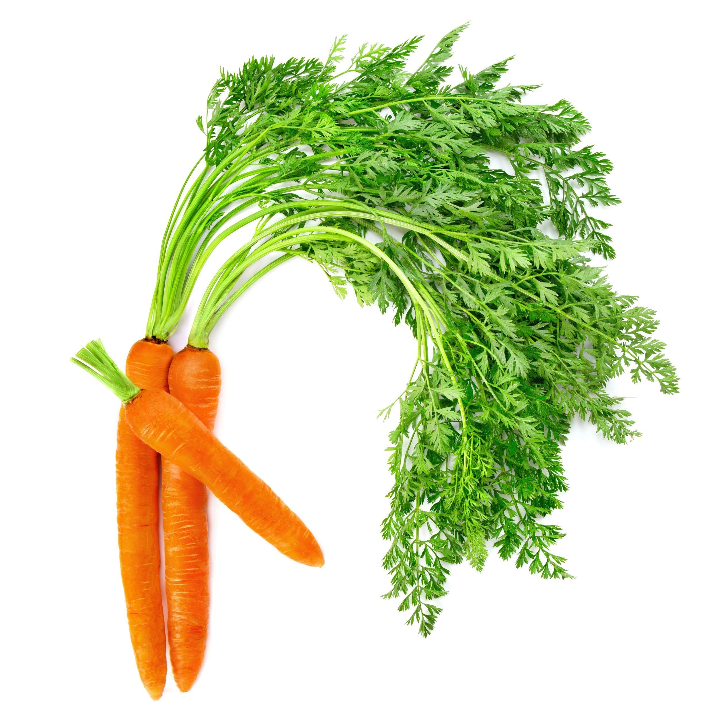 CARROTS