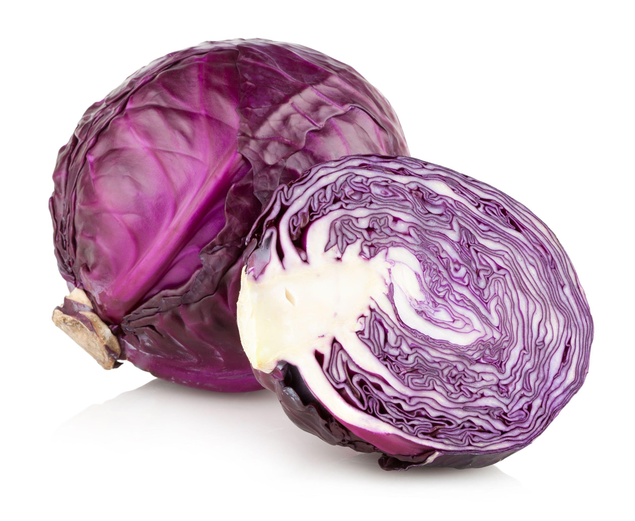 CABBAGE