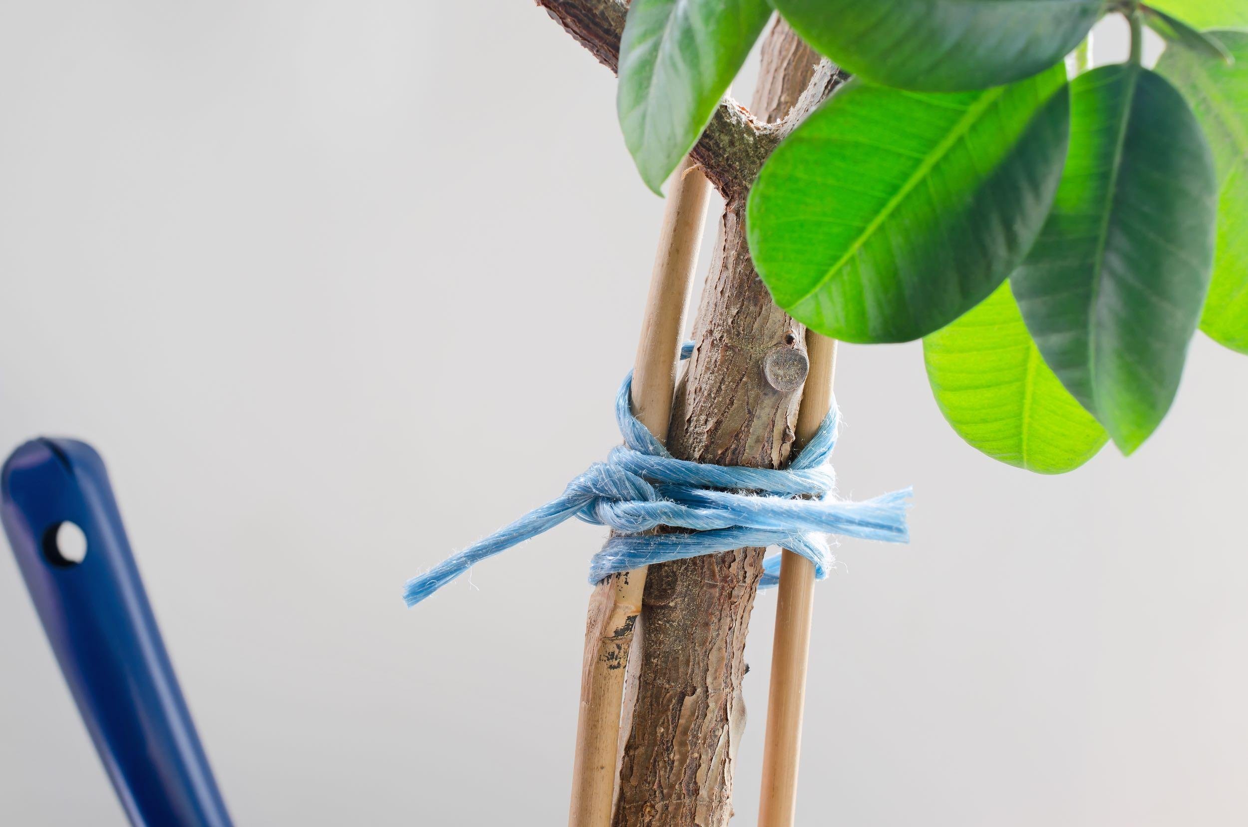 STAKES AND OTHER SUPPORTS