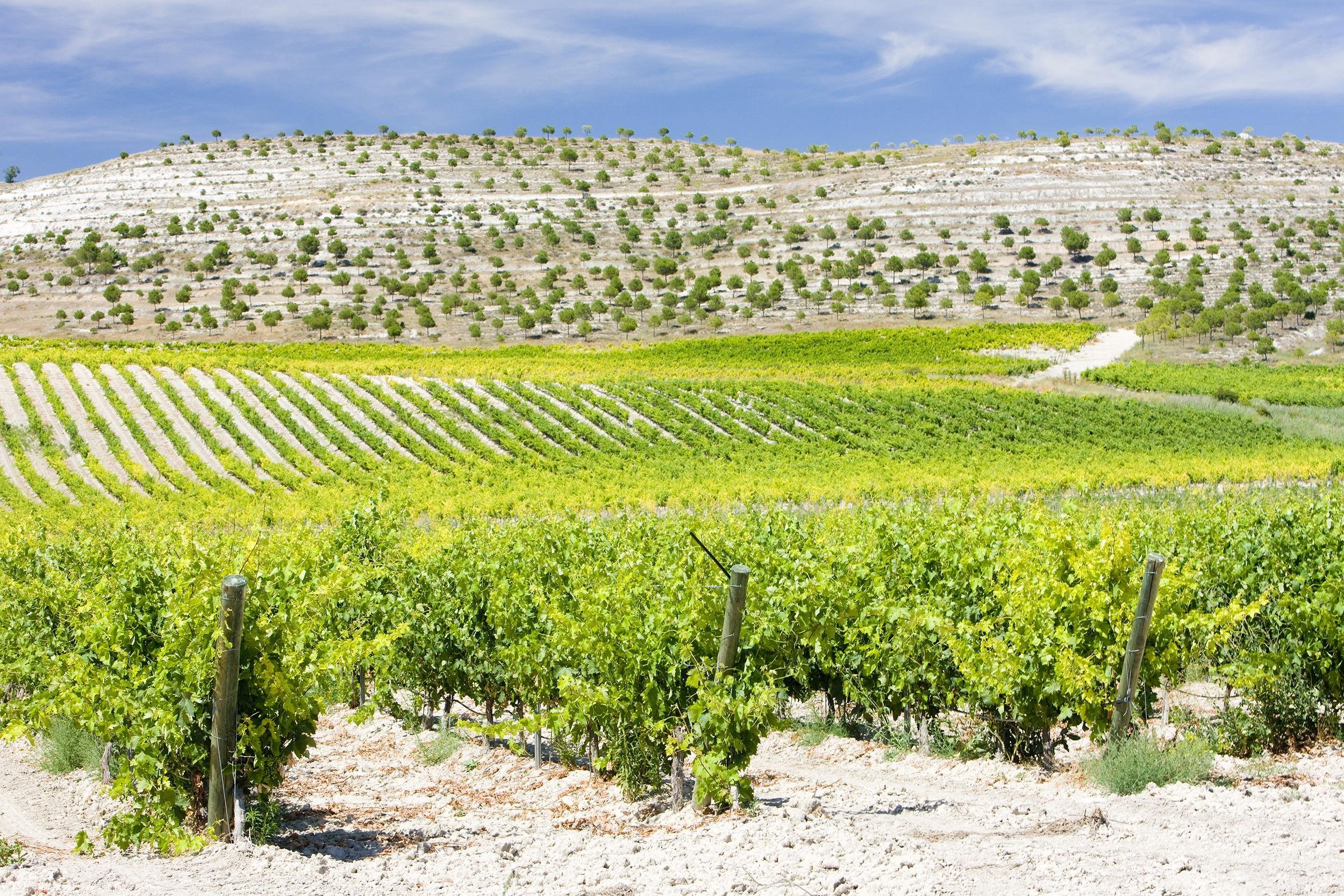 RUEDA, SPAIN