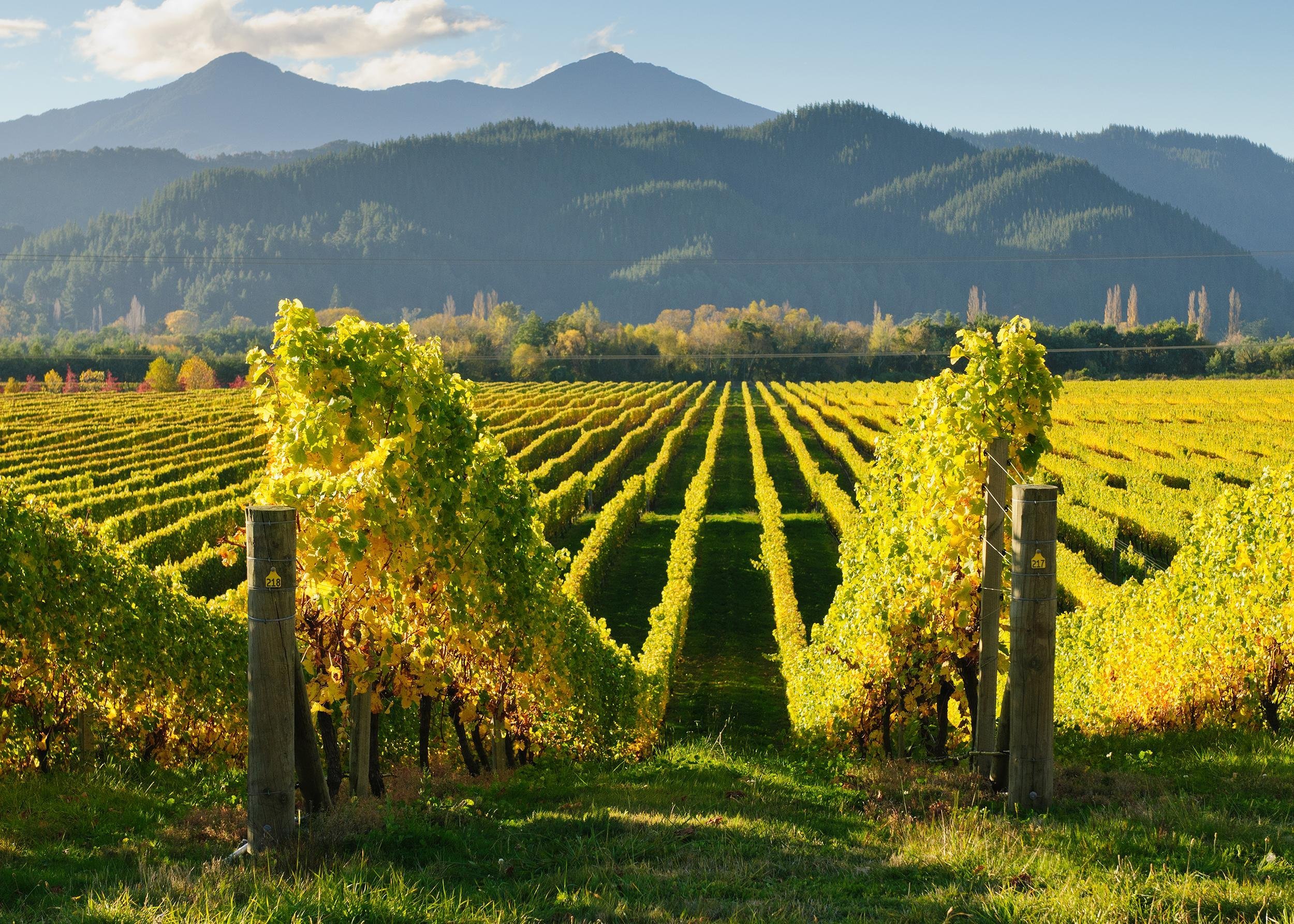 NEW ZEALAND