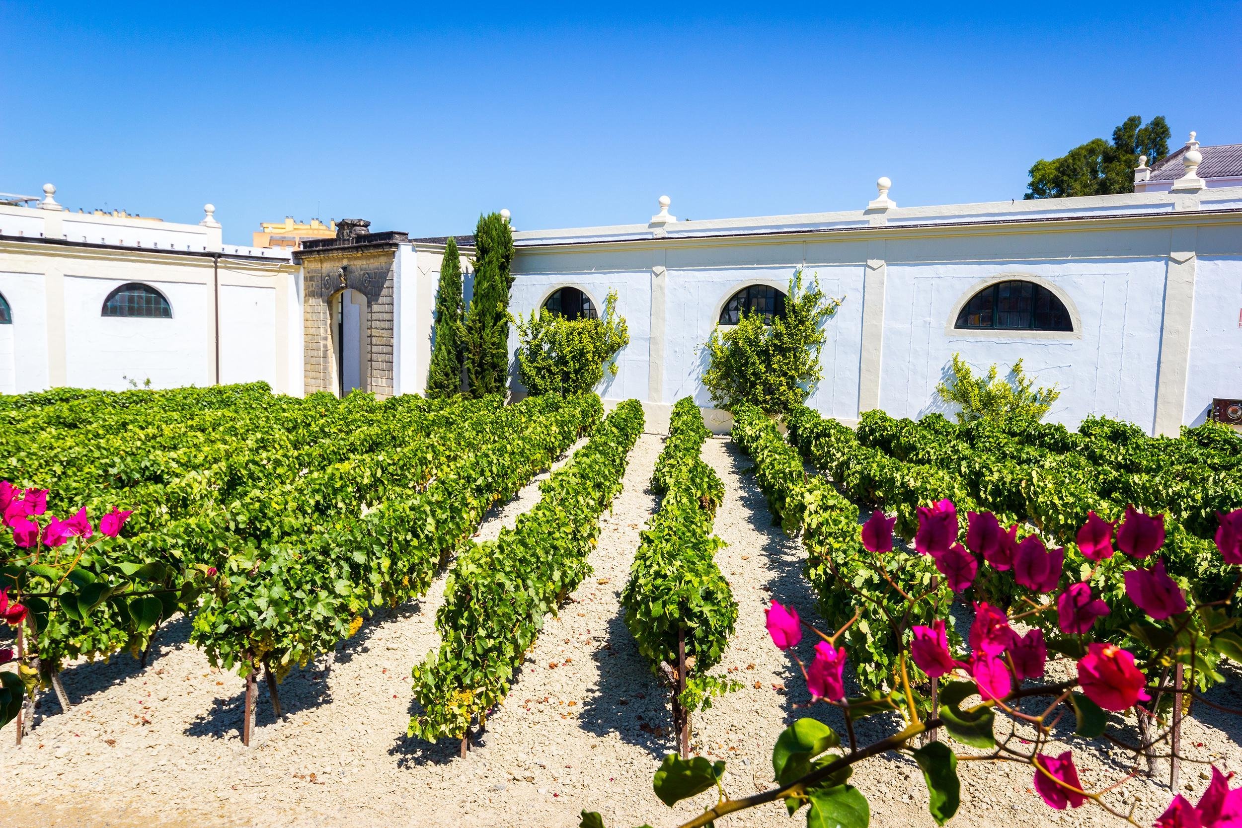 JEREZ, SPAIN