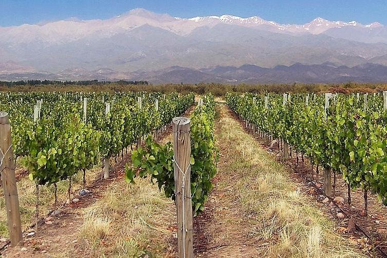 MENDOZA, ARGENTINA