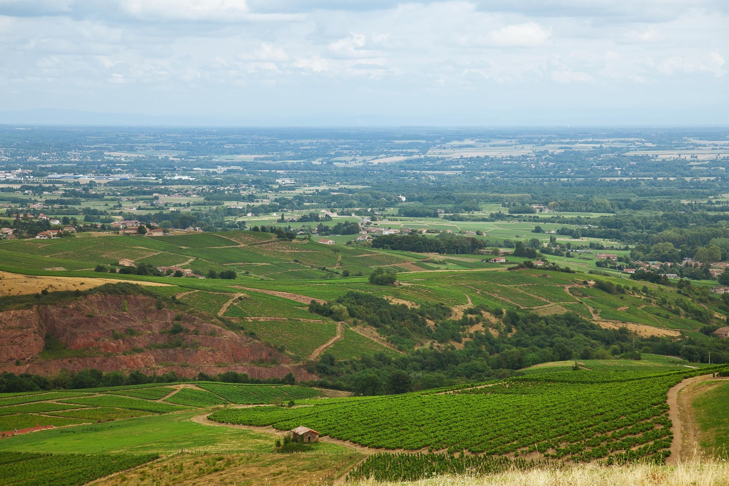BEAUJOLAIS, FRANCE