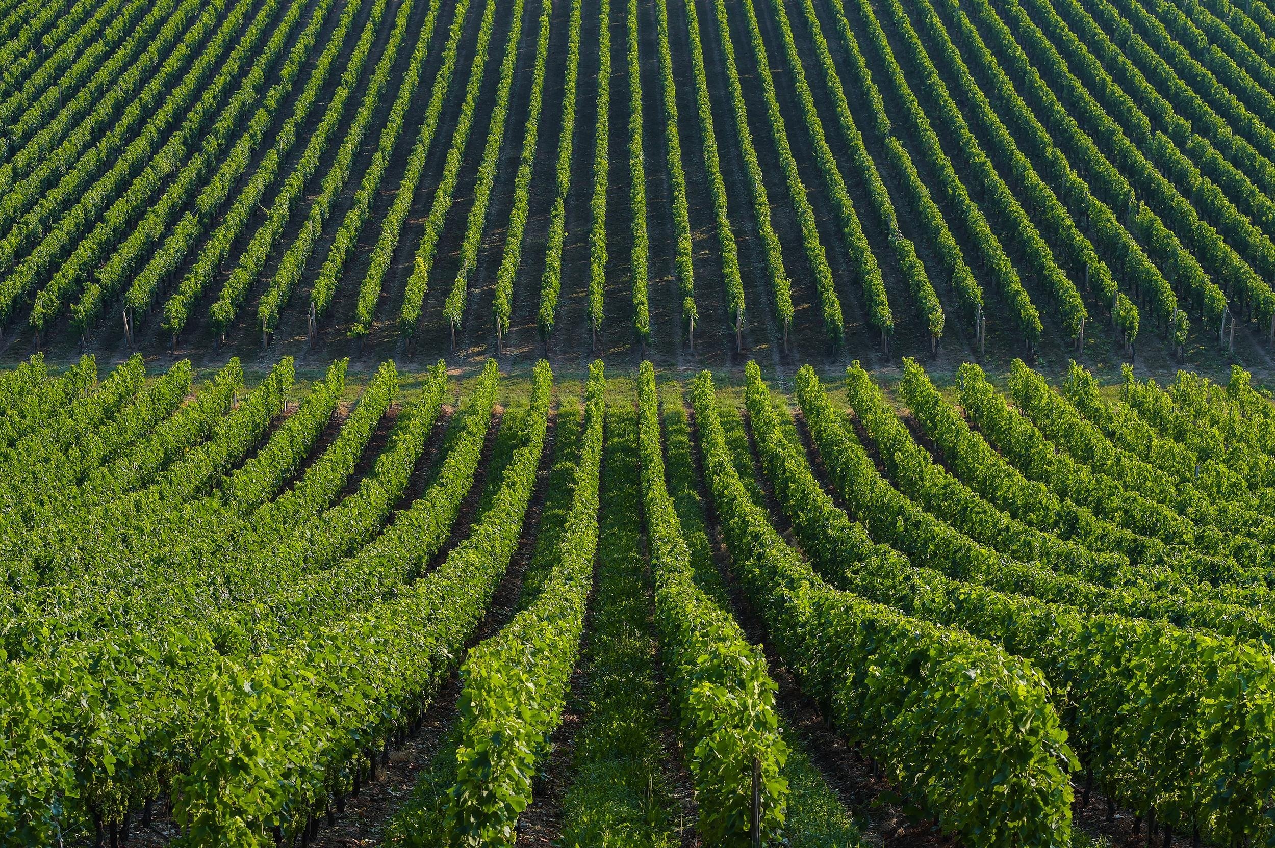 SOUTHWEST FRANCE