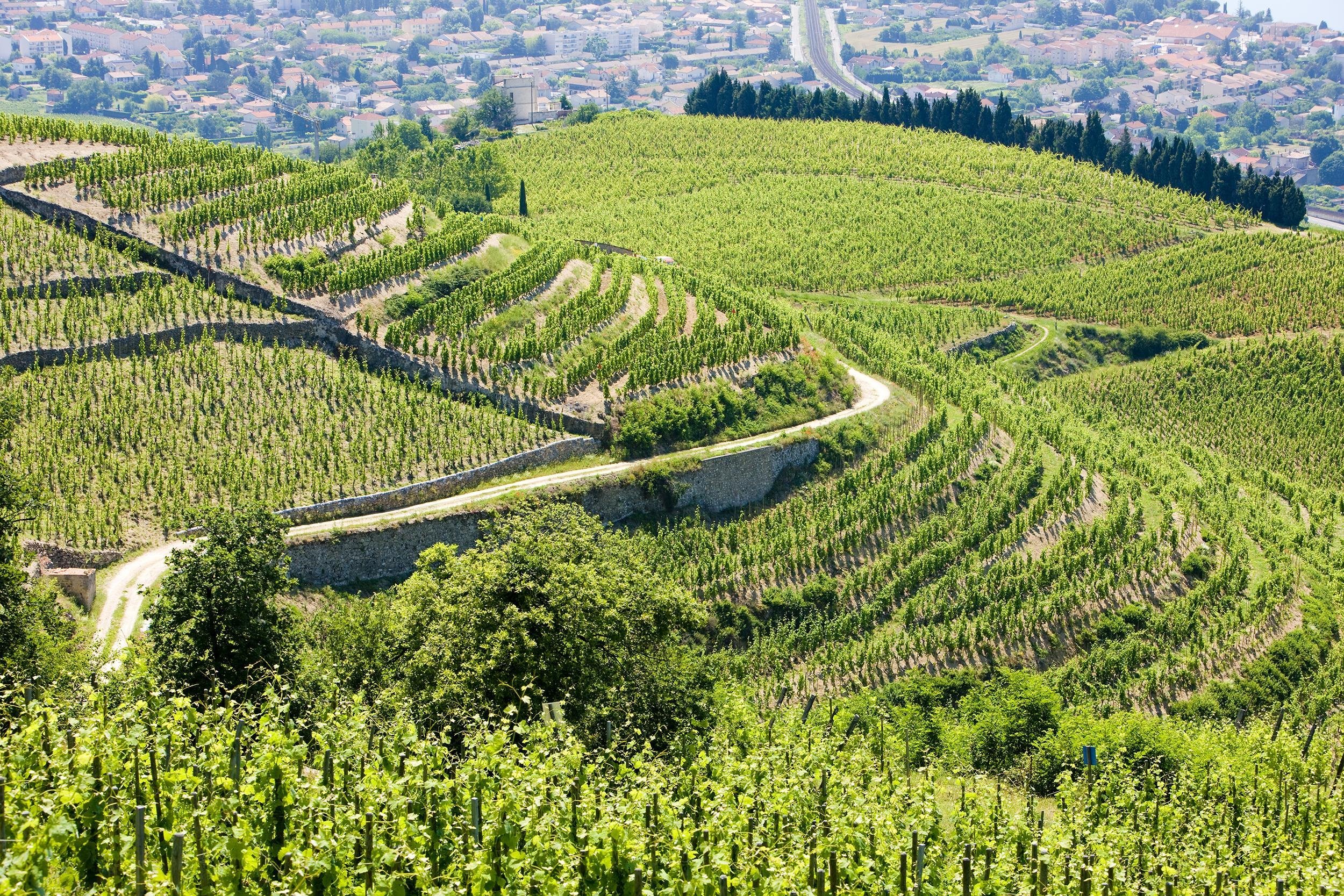 RHÔNE VALLEY, FRANCE