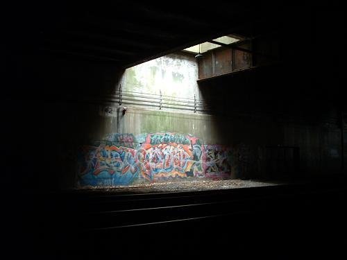 APPRECIATE STREET ART: FREEDOM TUNNEL