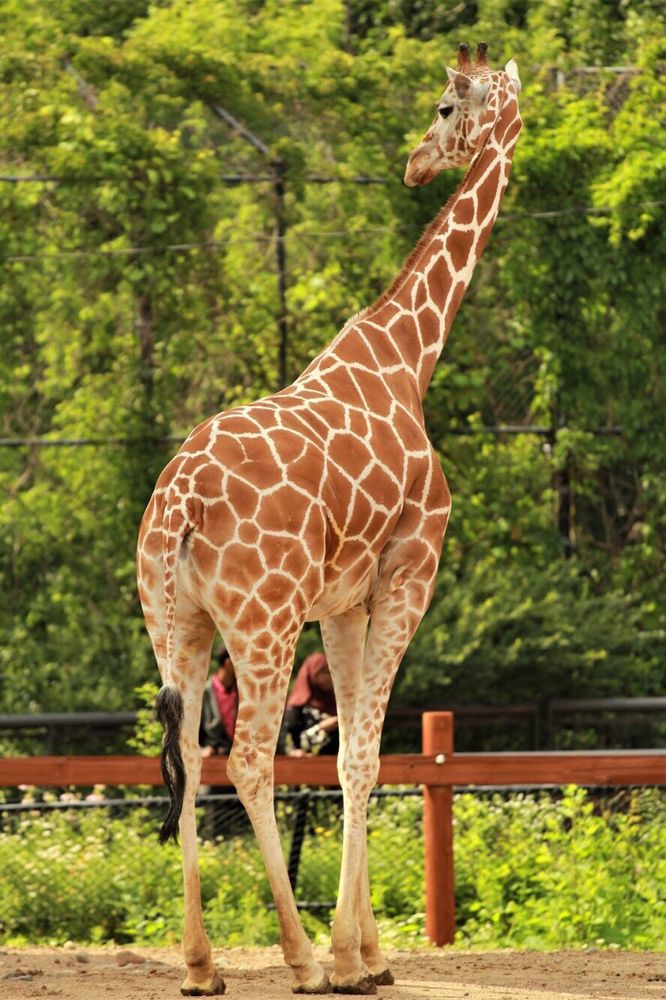 Como Park Zoo and Conservatory, St. Paul, Minnesota