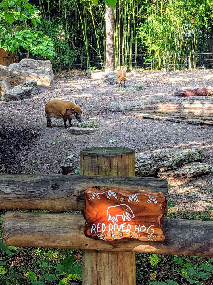 St. Louis Zoo, St. Louis, Missouri