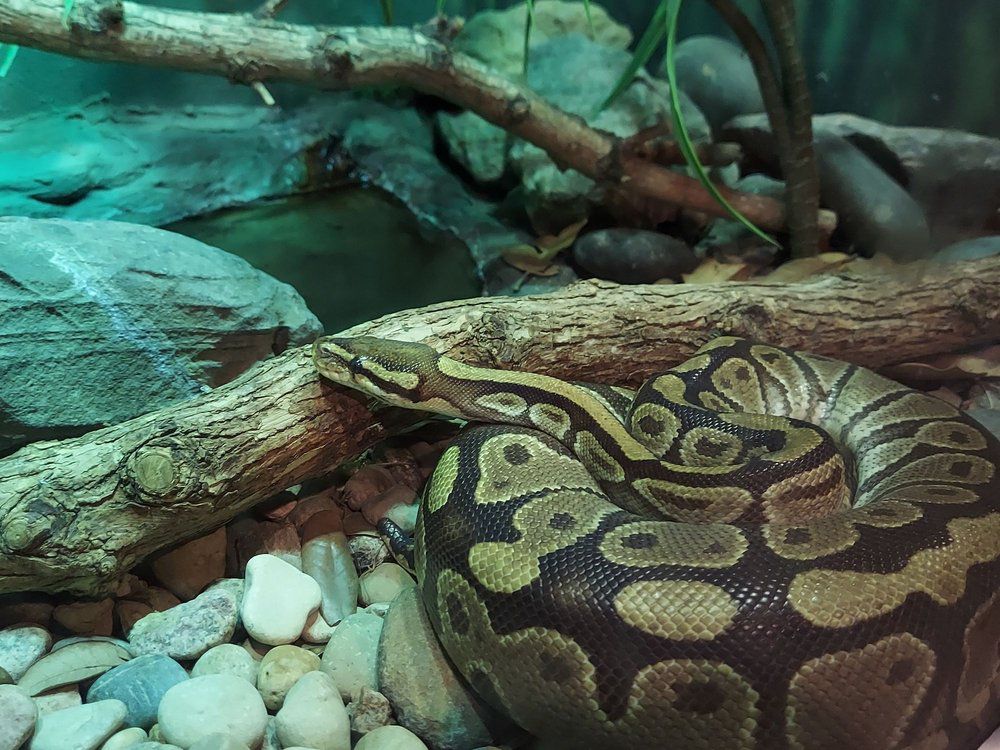 Henry Vilas Zoo, Madison, Wisconsin