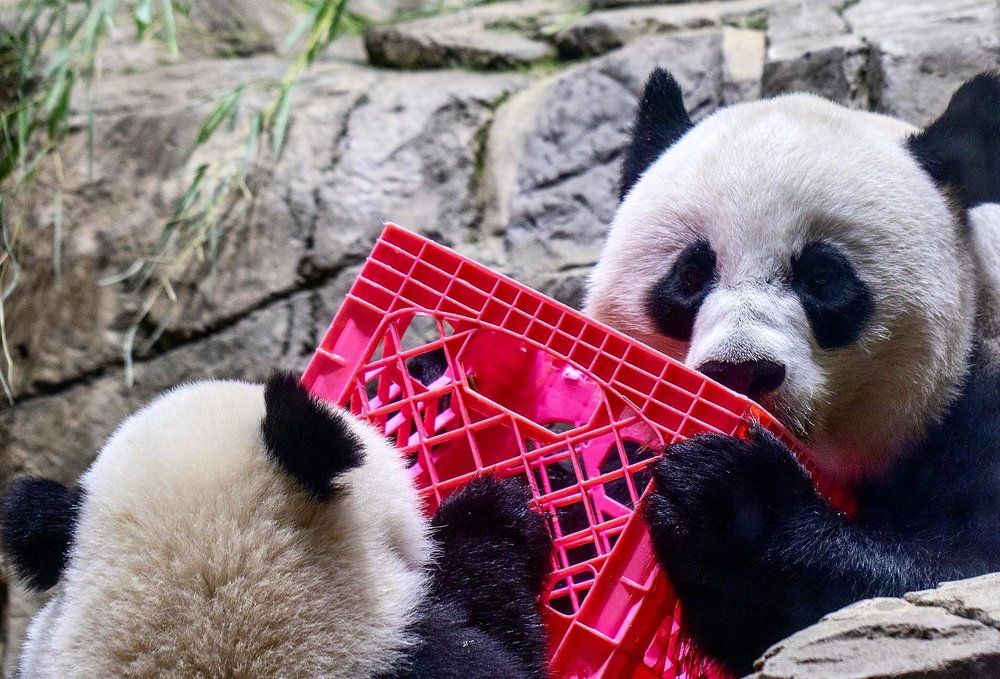 Smithsonian National Zoological Park, Washington, D.C.