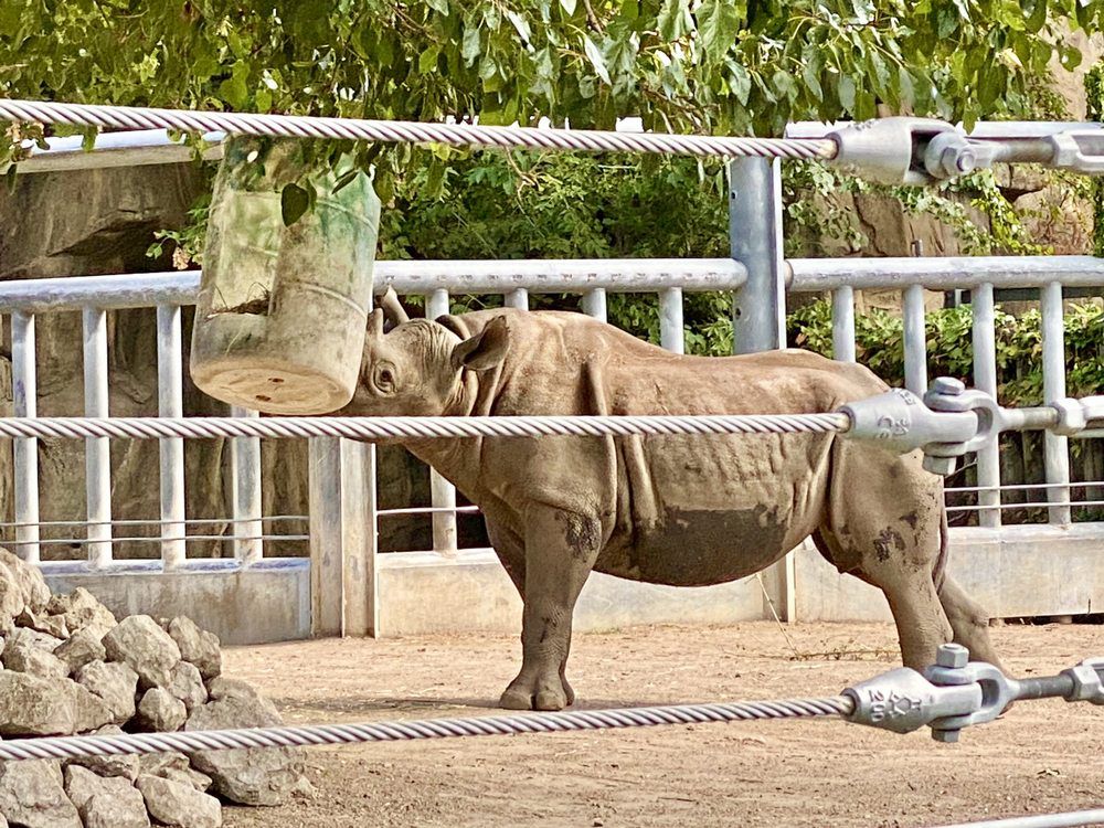Lincoln Park Zoo, Chicago