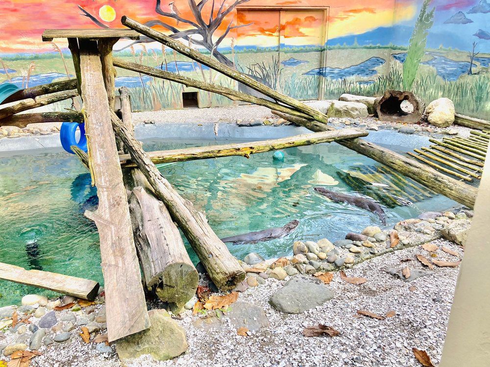 Cape May County Zoo, Cape May County, New Jersey