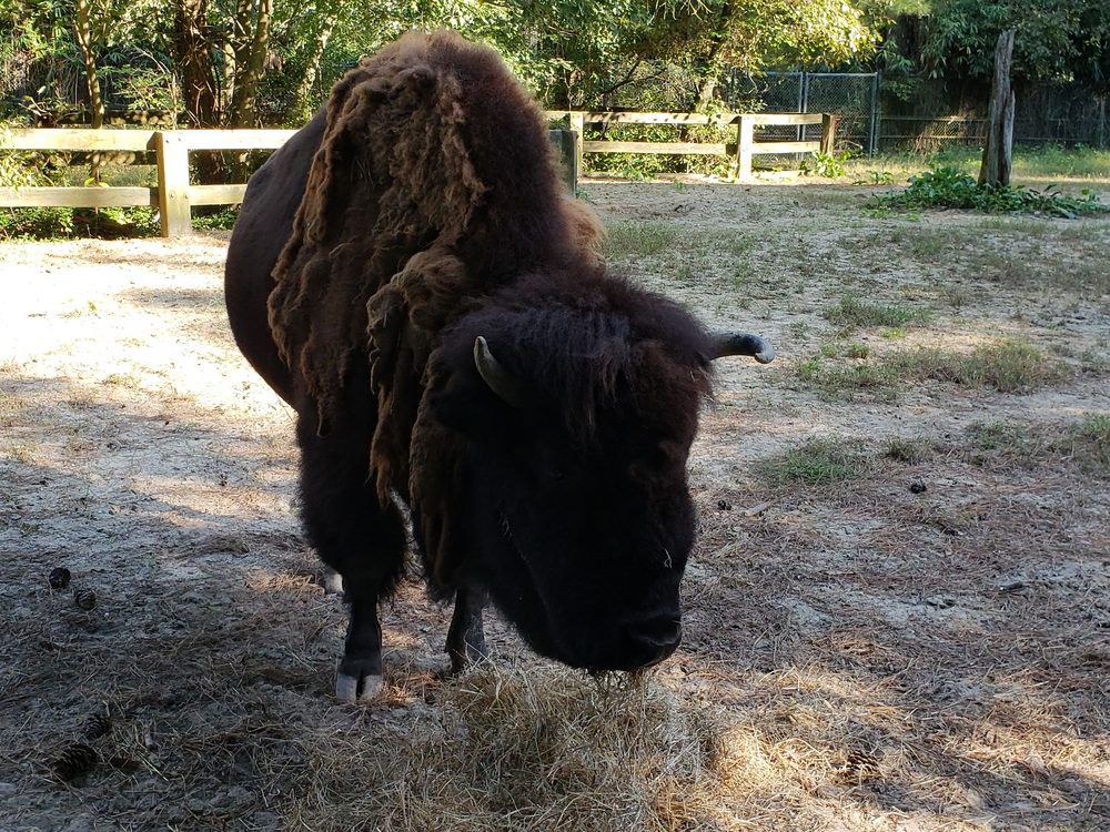 Salisbury Zoo, Salisbury, Maryland