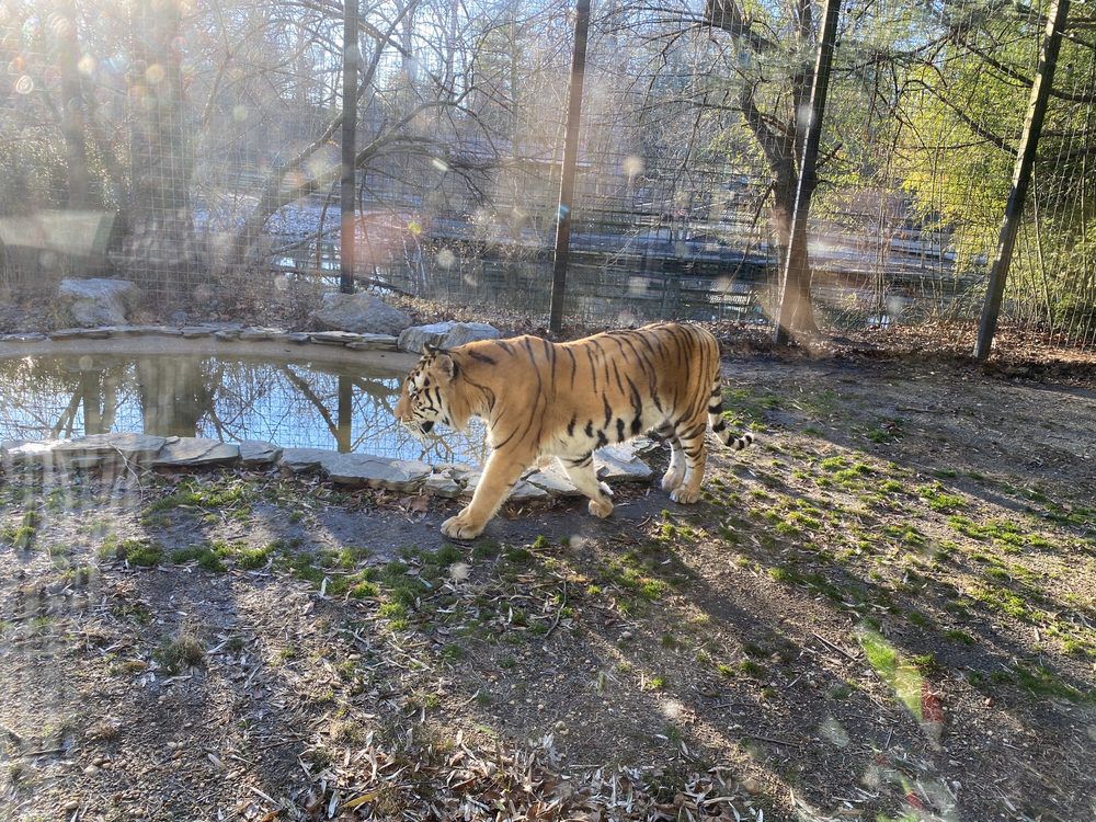 Cohanzick Zoo, Bridgeton, New Jersey