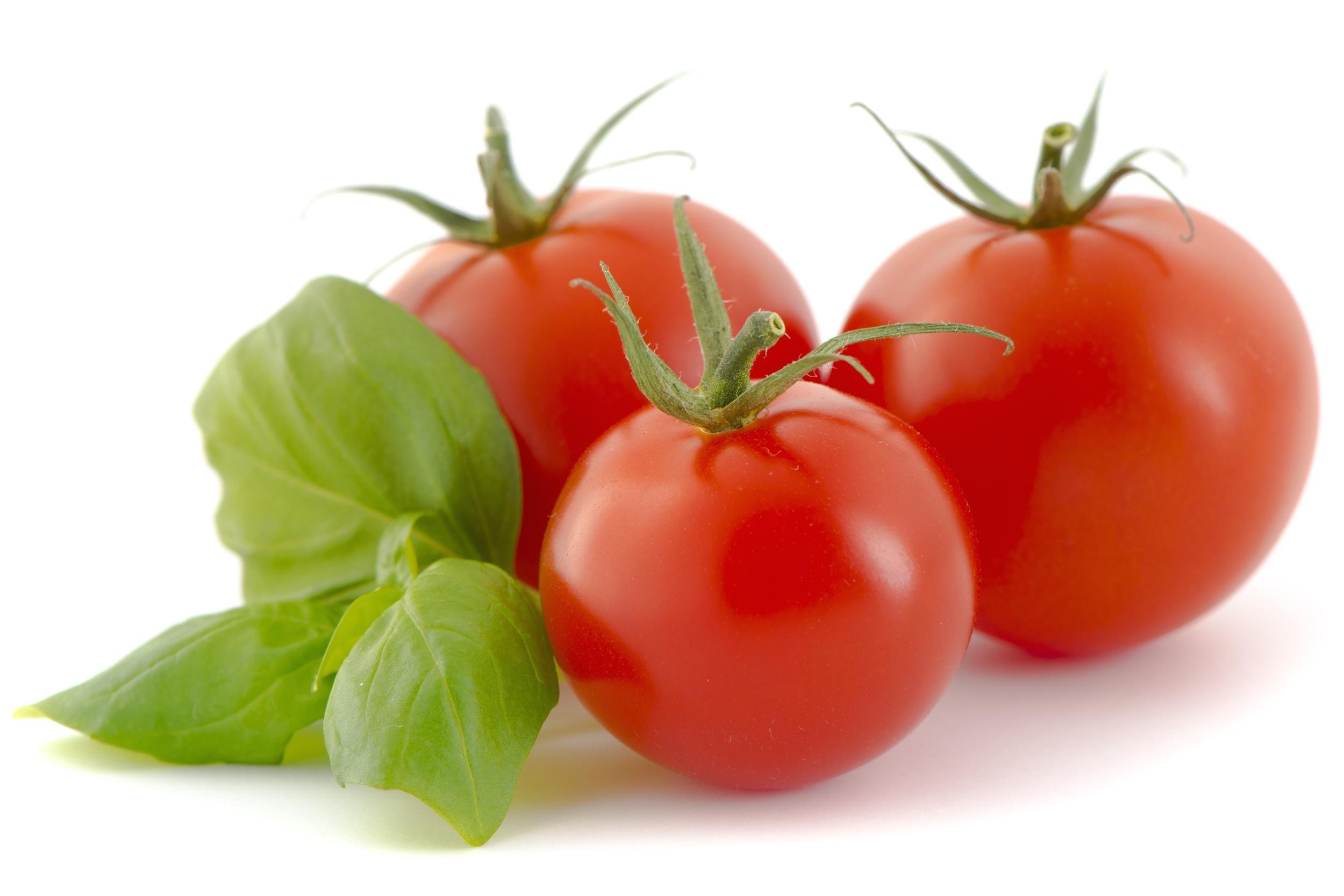 TOMATO-BASIL BAKE