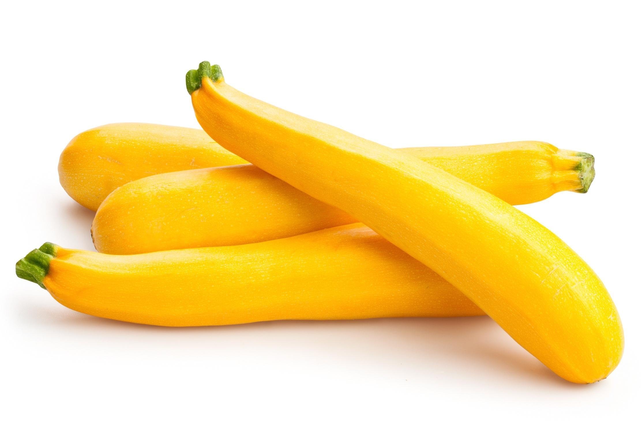 SUMMER SQUASH
