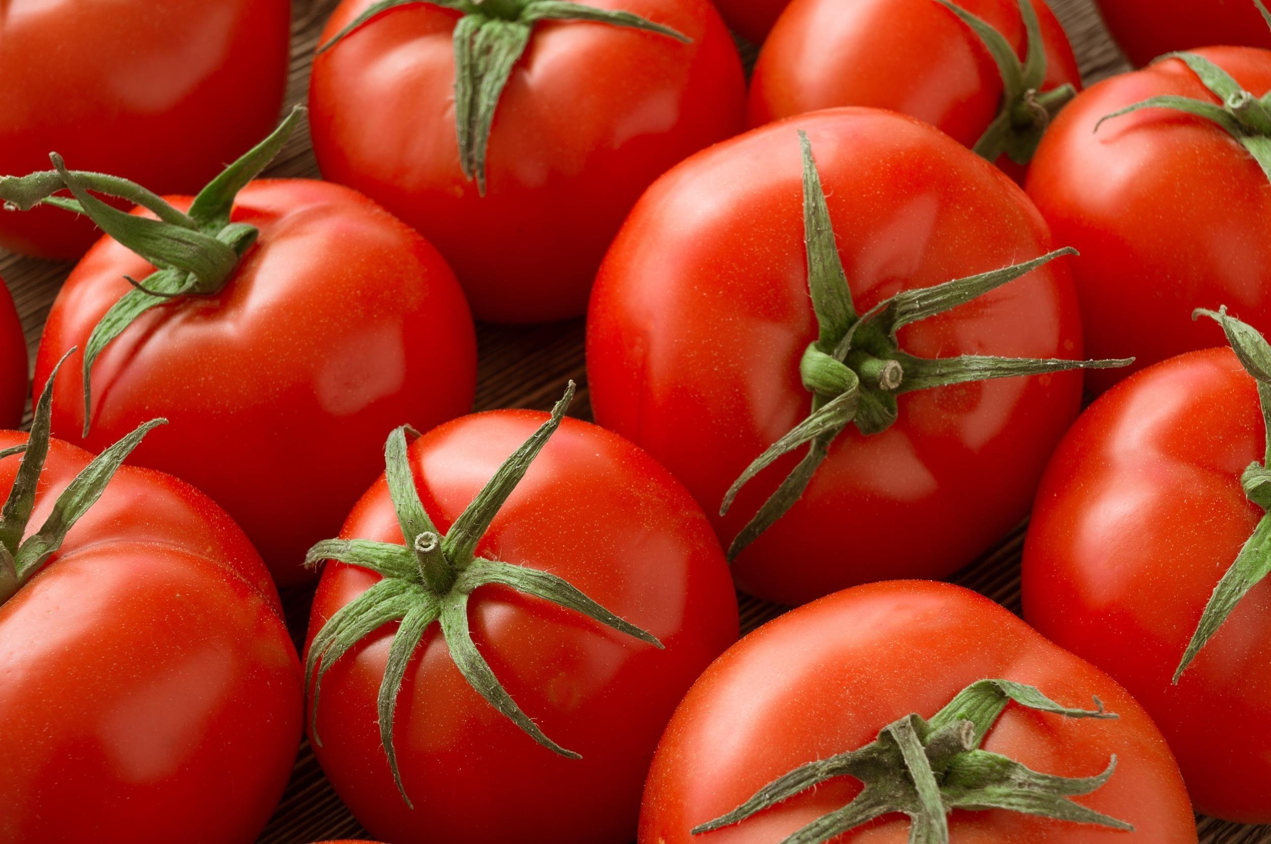 TOMATOES