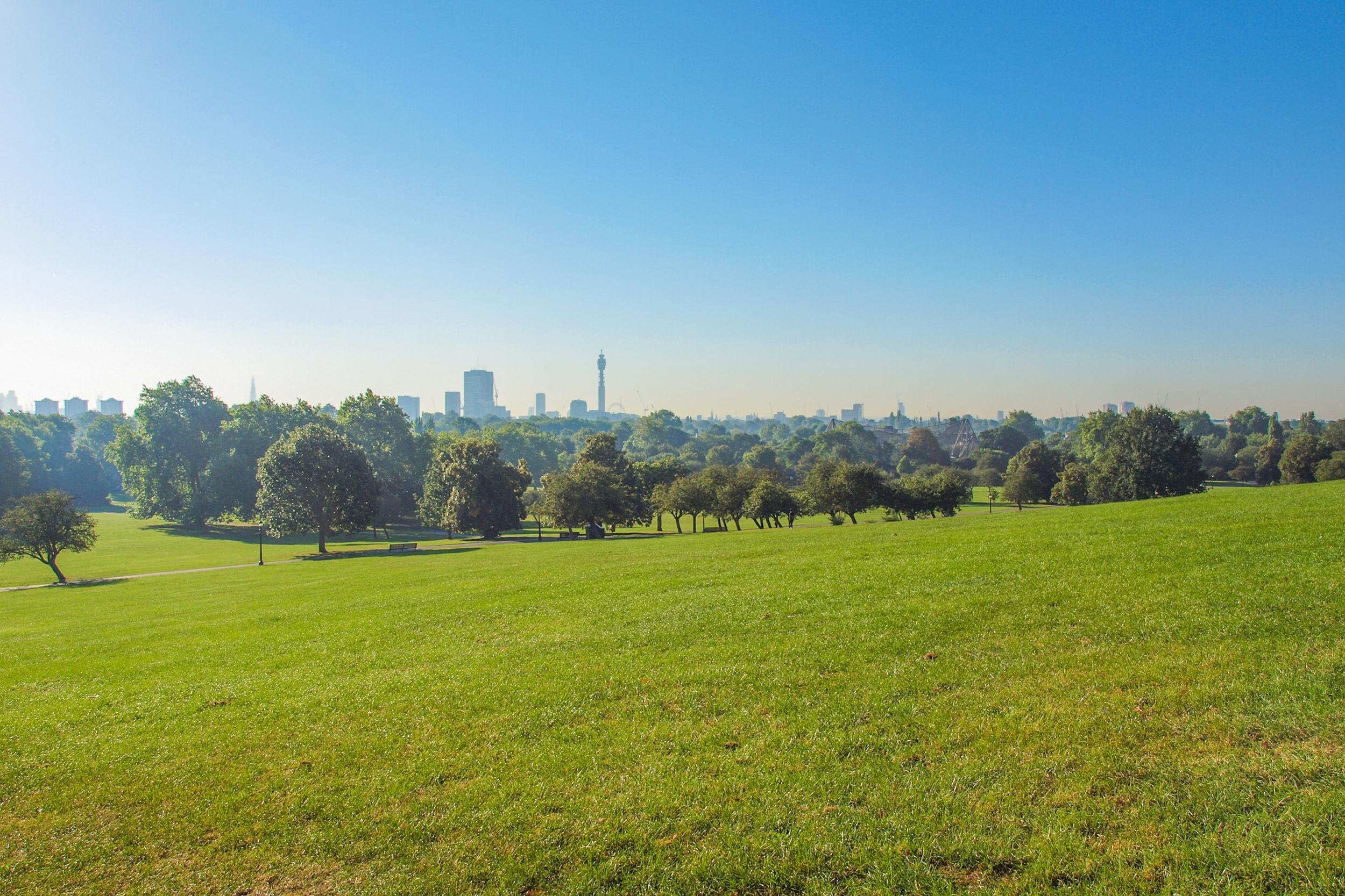 PRIMROSE HILL