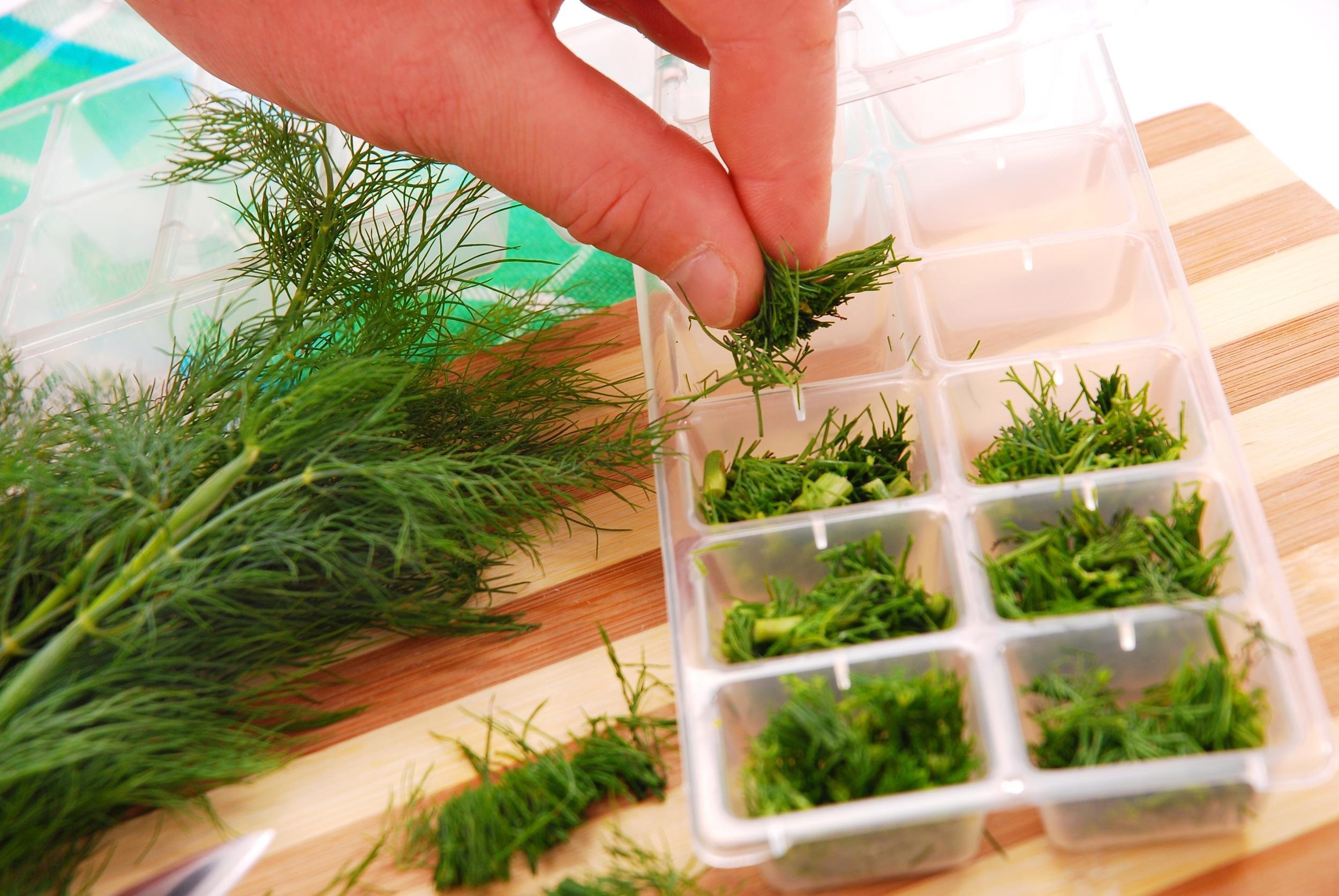 HERBS