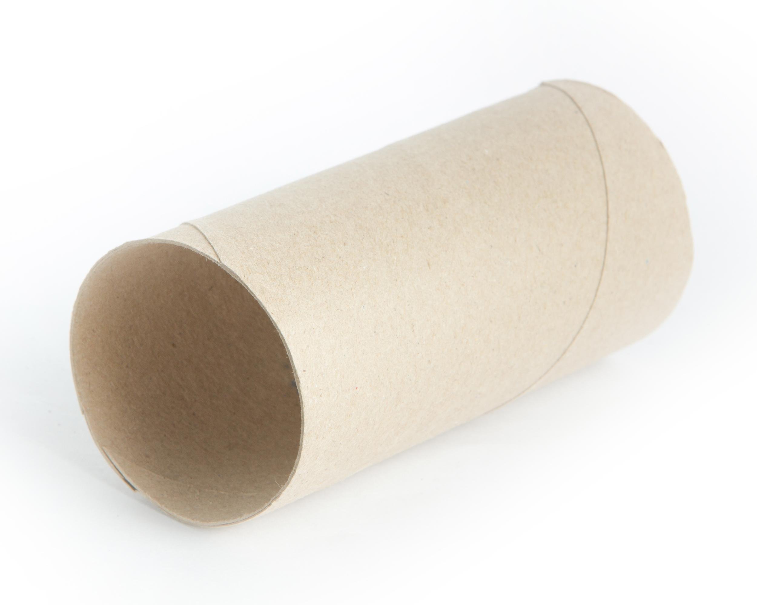 PAPER ROLL CHEW TOY