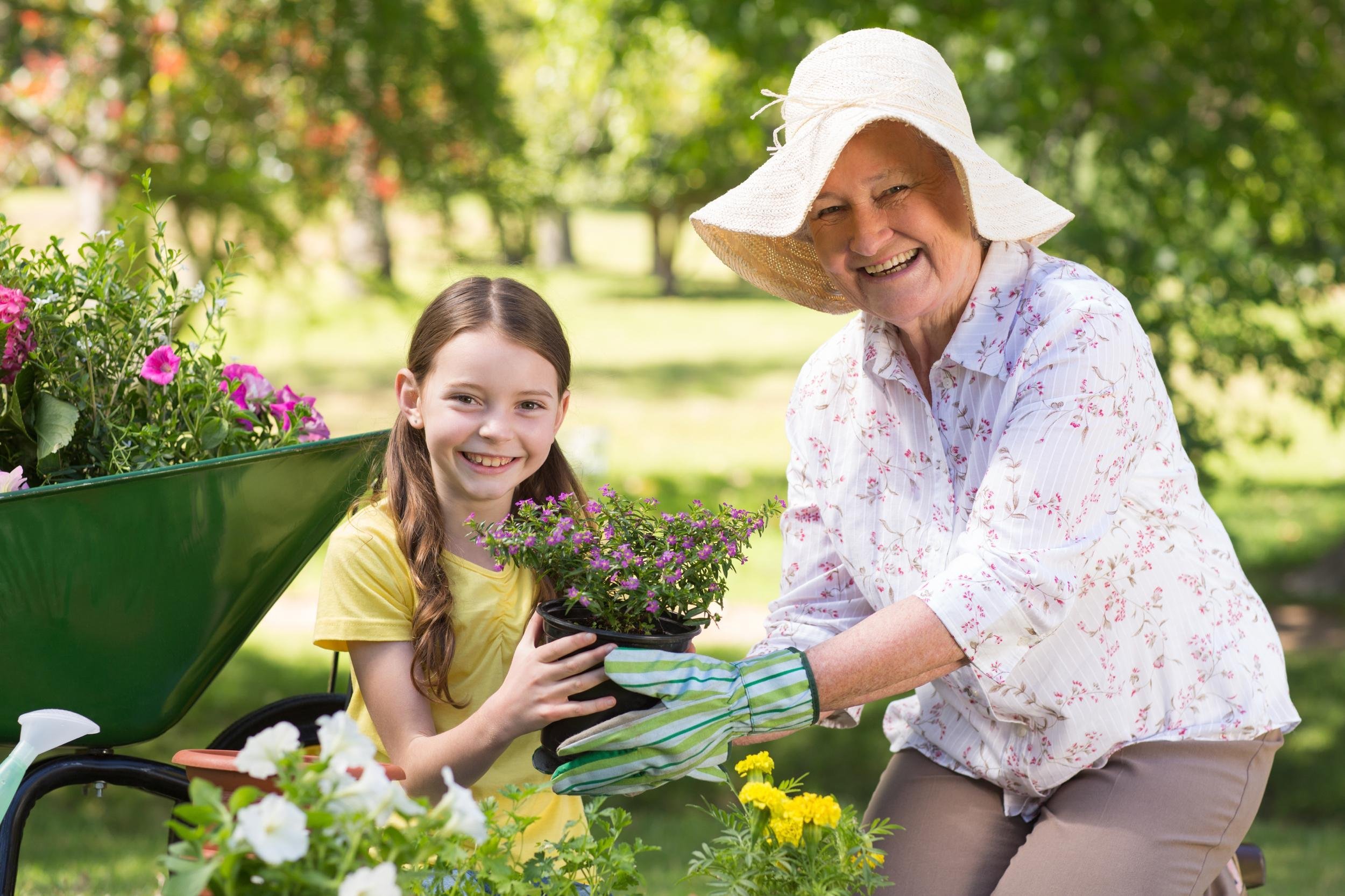 ASK A GRANDPARENT