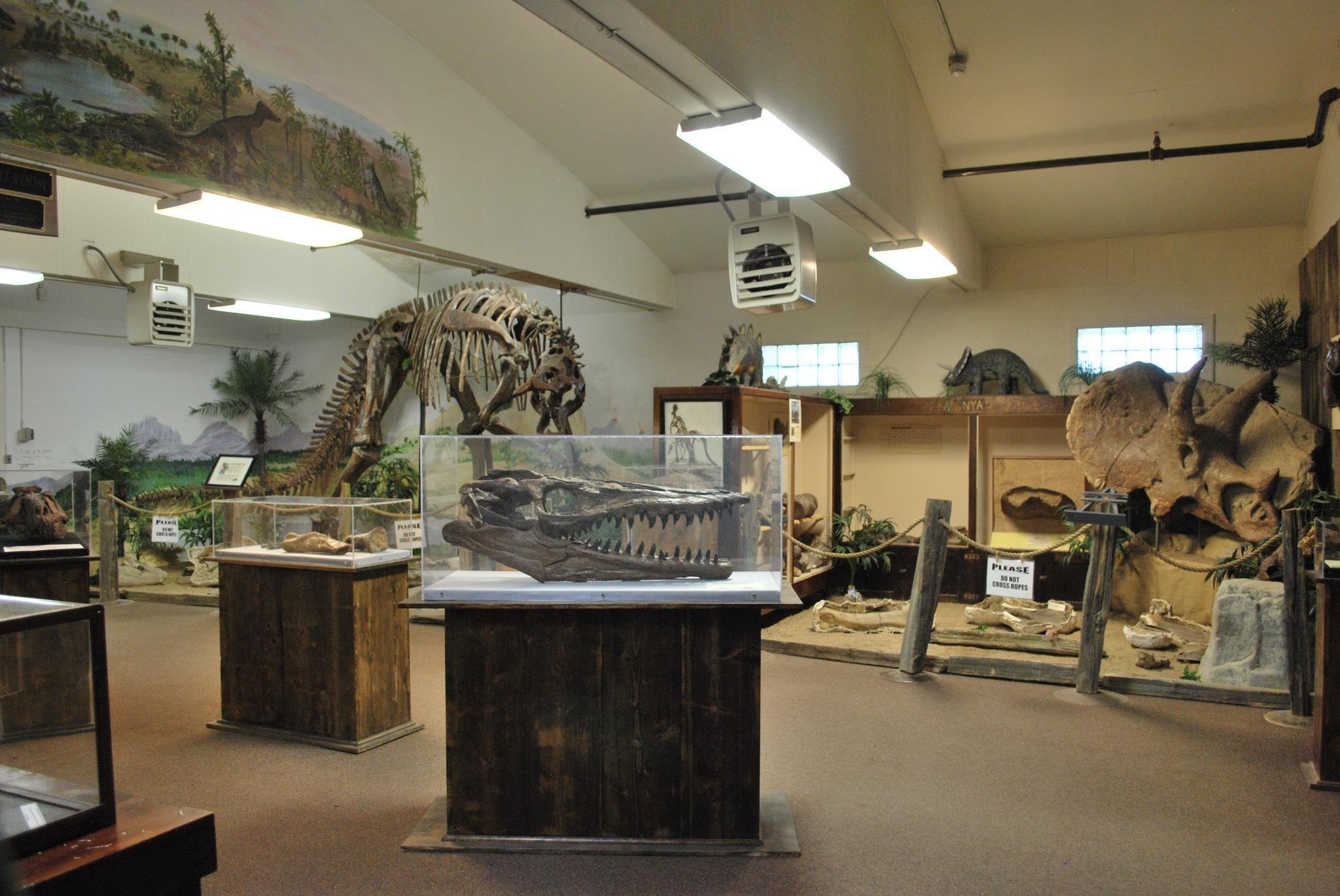 CARTER COUNTY MUSEUM