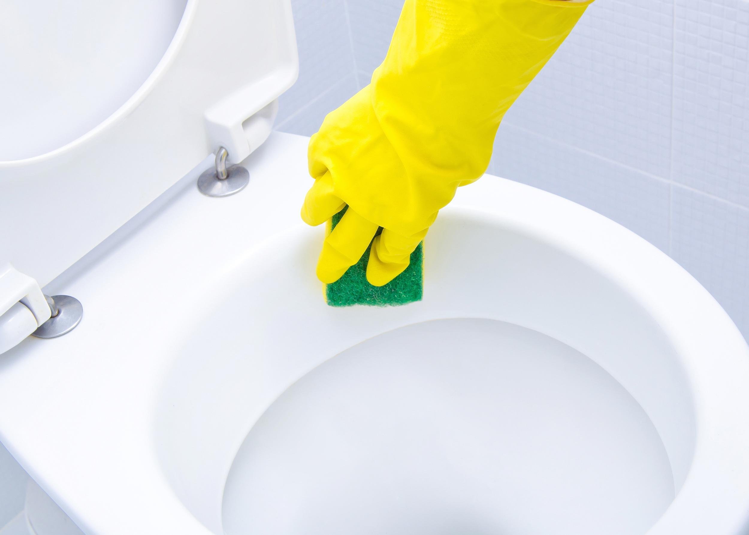 FIZZY TOILET BOWL CLEANER