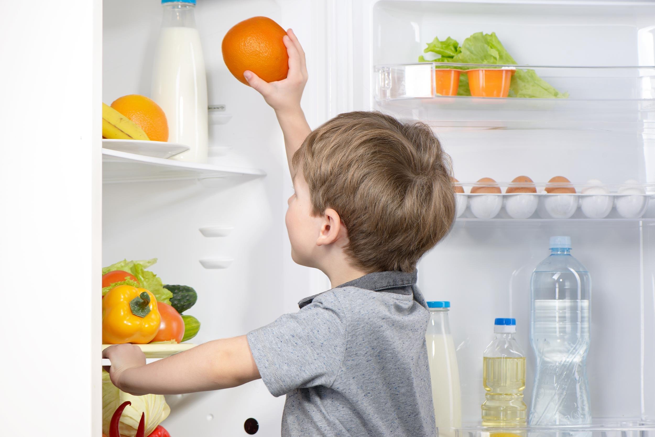 STOP WASTING FOOD