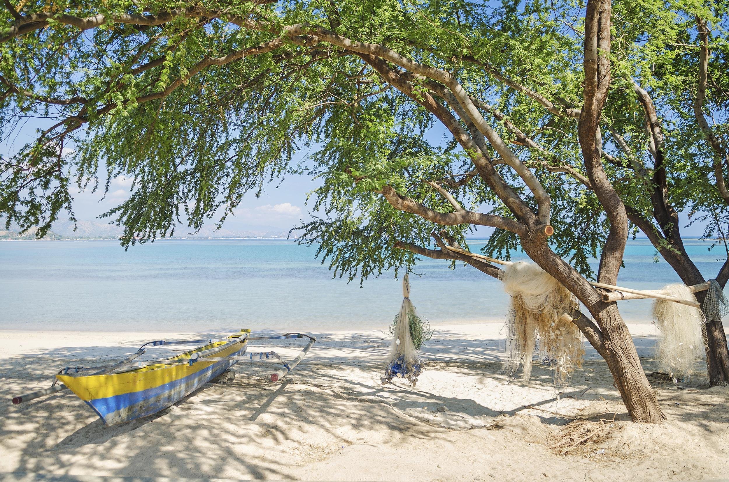 SEE FLYING FISH IN TIMOR-LESTE