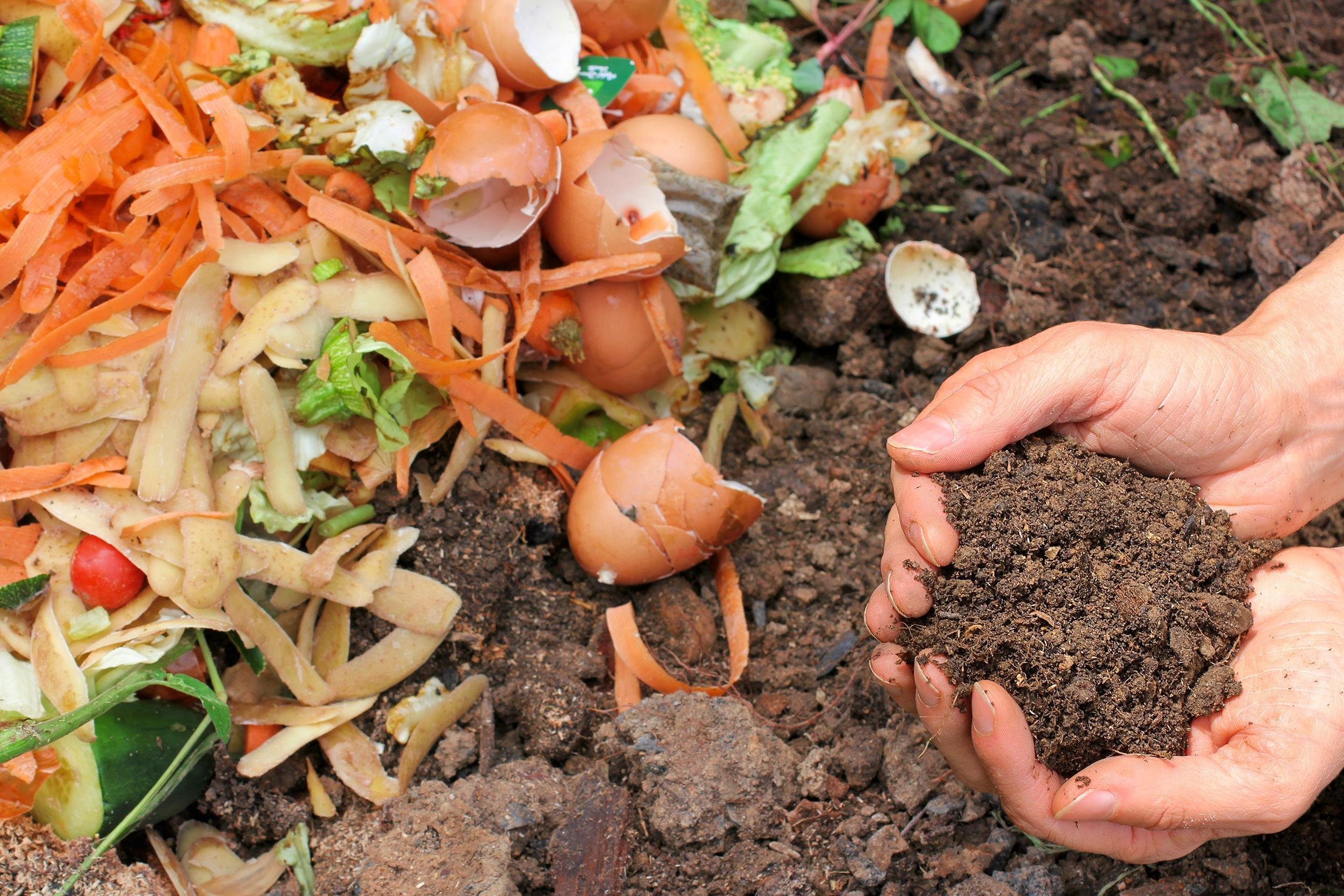 COMPOST TOGETHER
