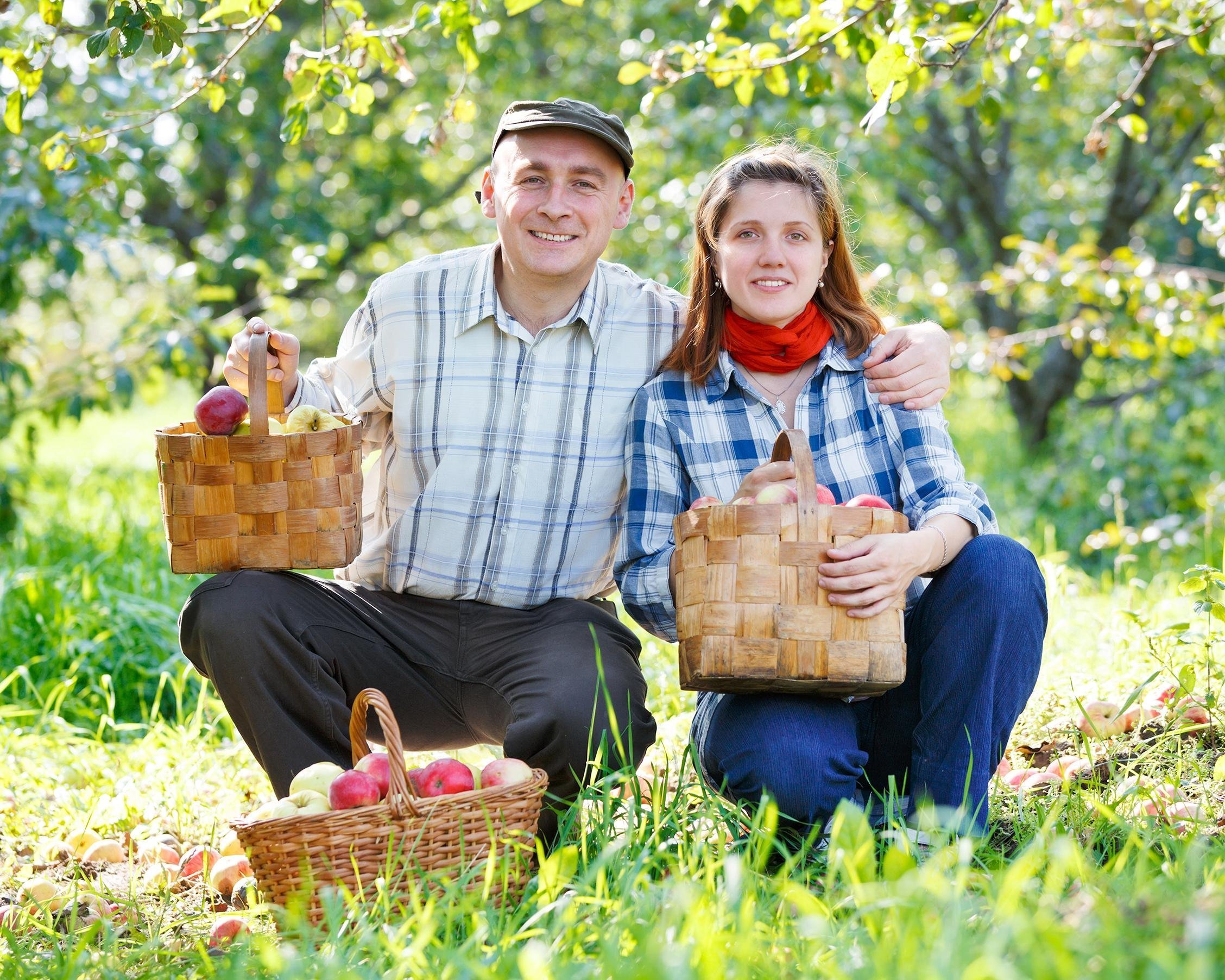 GO APPLE PICKING