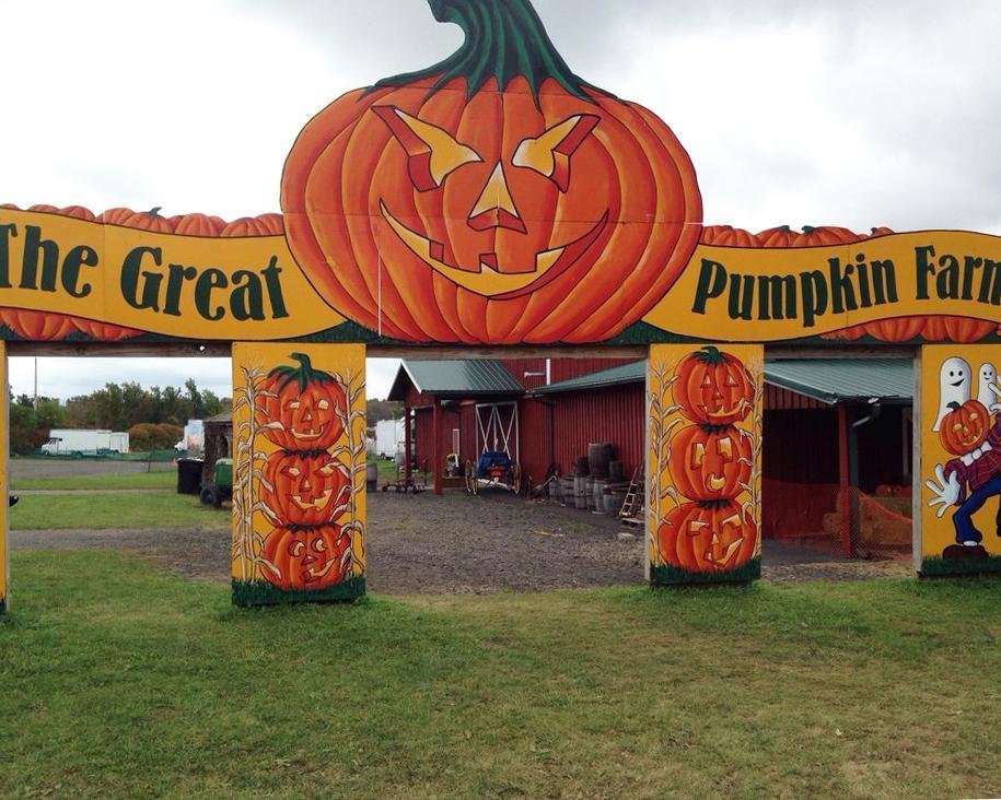 THE GREAT PUMPKIN FARM, CLARENCE, NEW YORK