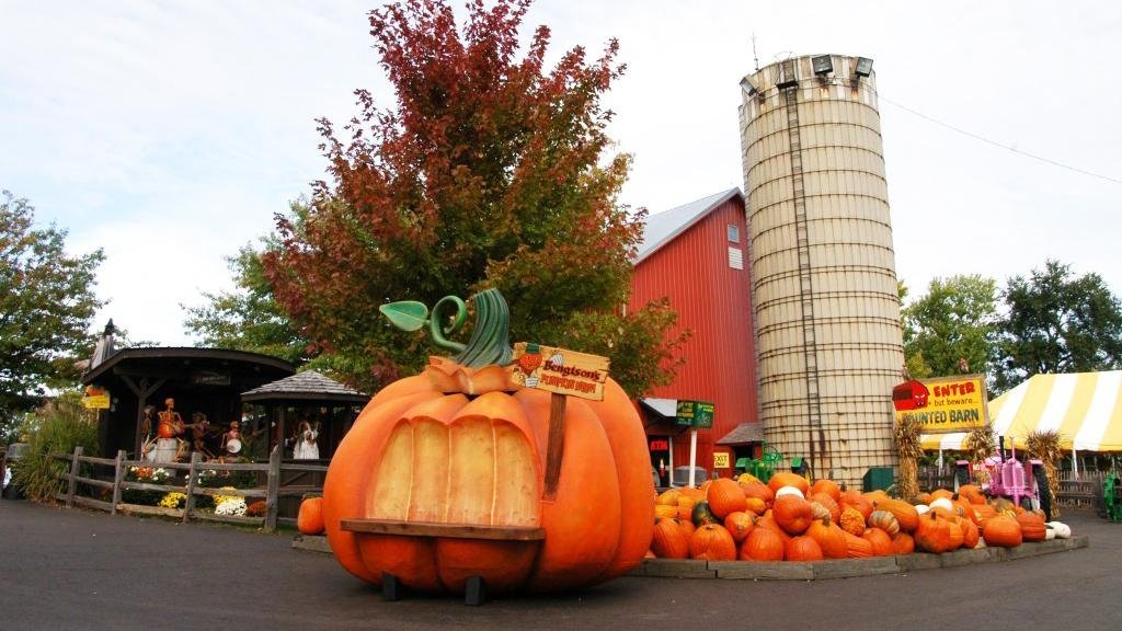 BENGTSON'S PUMPKIN FARM, HOMER GLEN, ILLINOIS