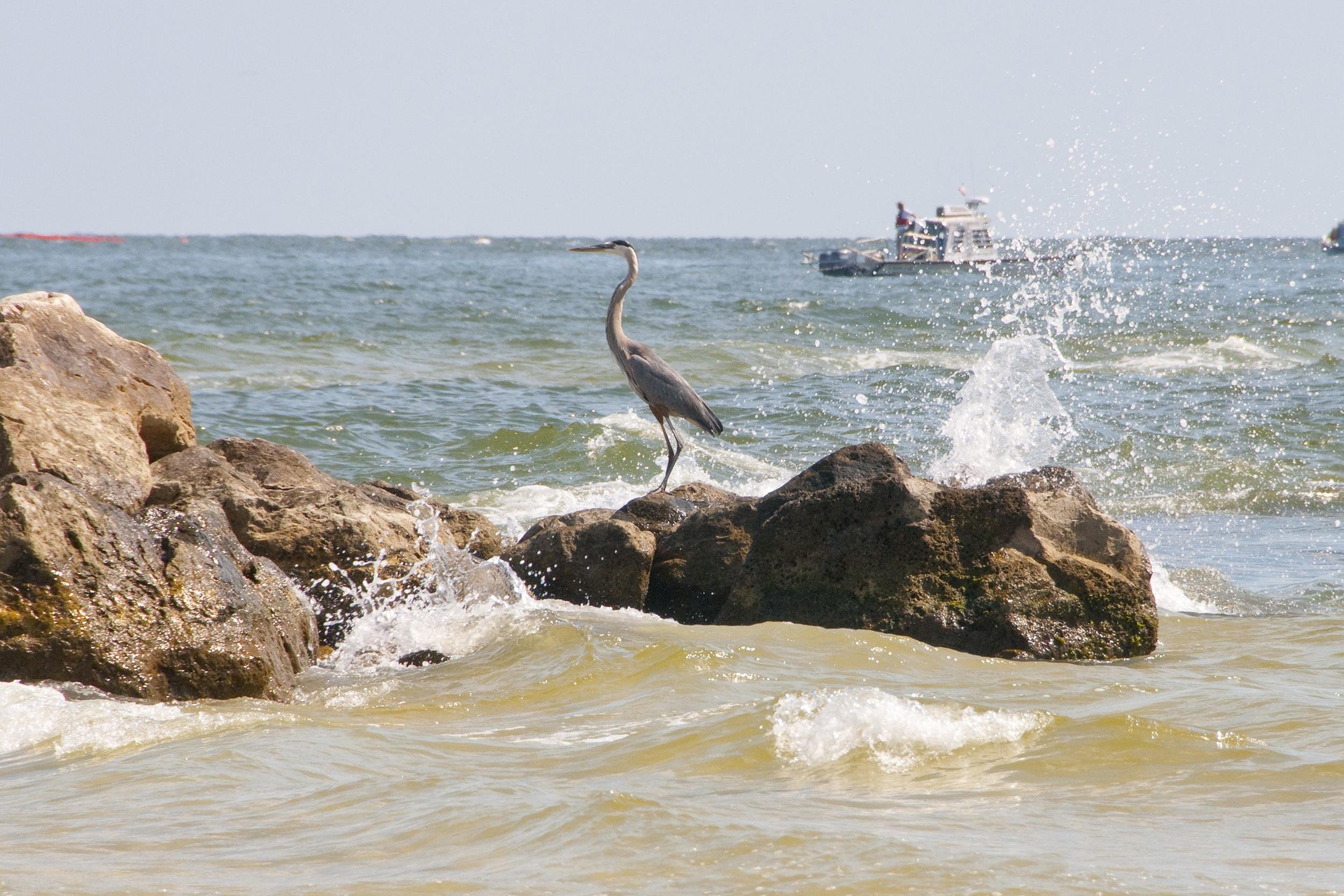 ORANGE BEACH, ALABAMA